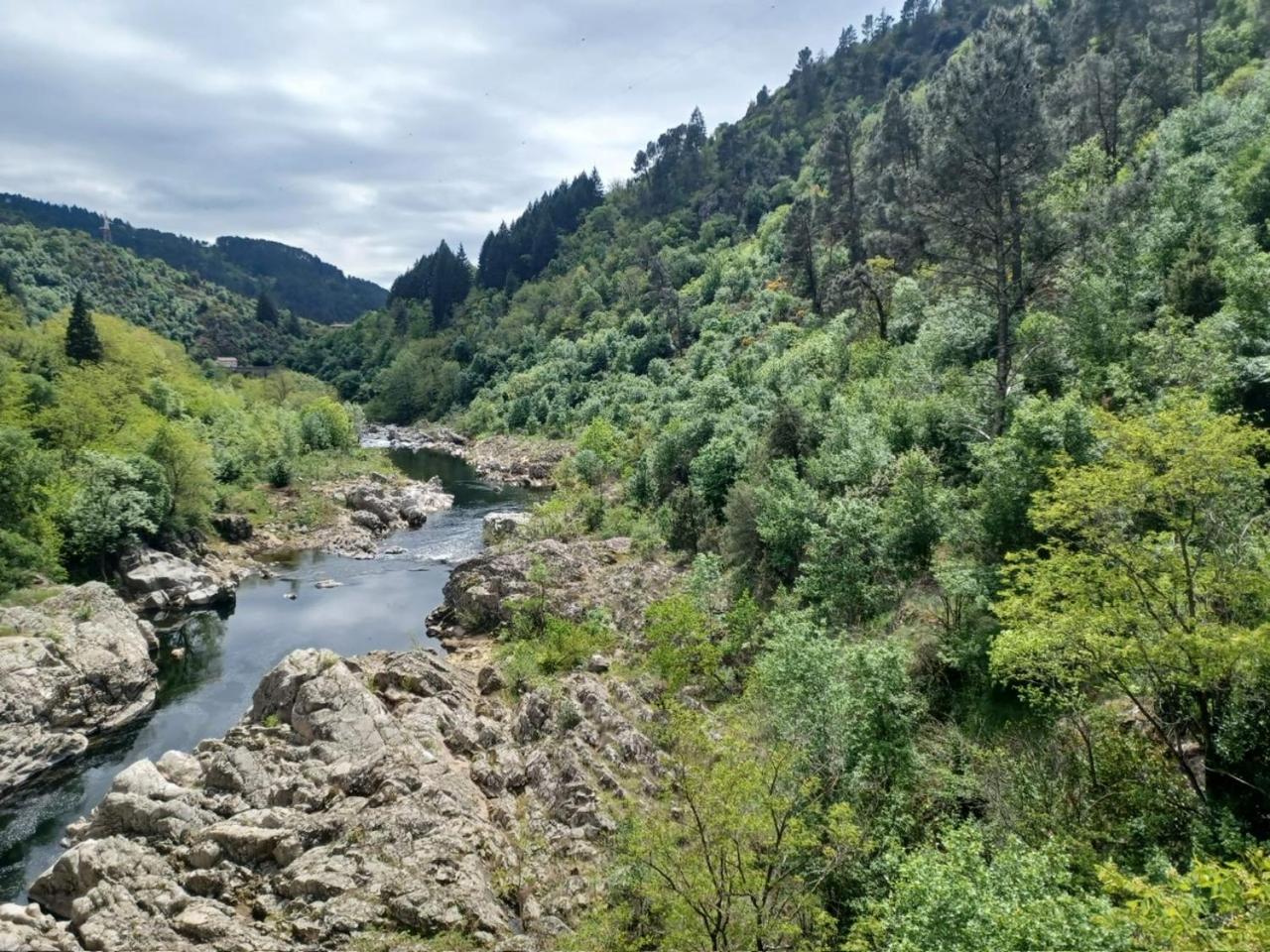 Photo 42