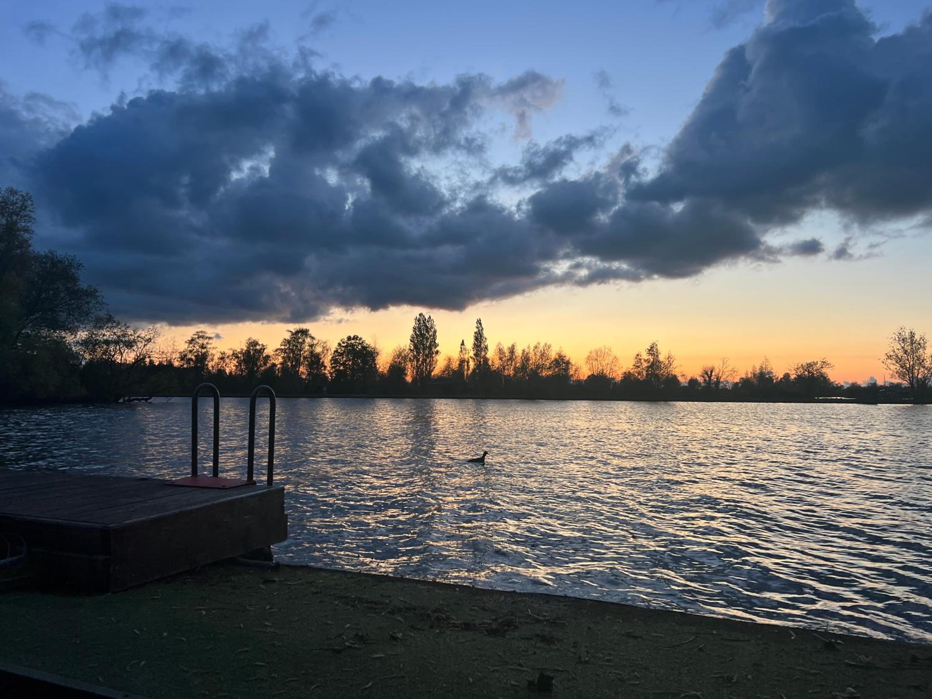Photo 25