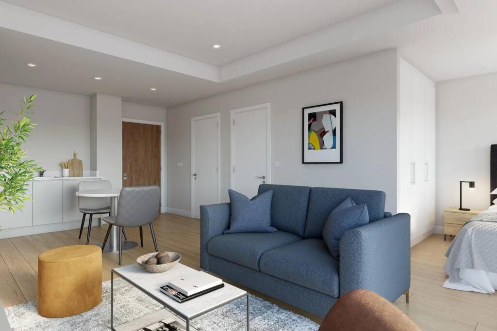 Large Luxurious Studio in Dublin 18