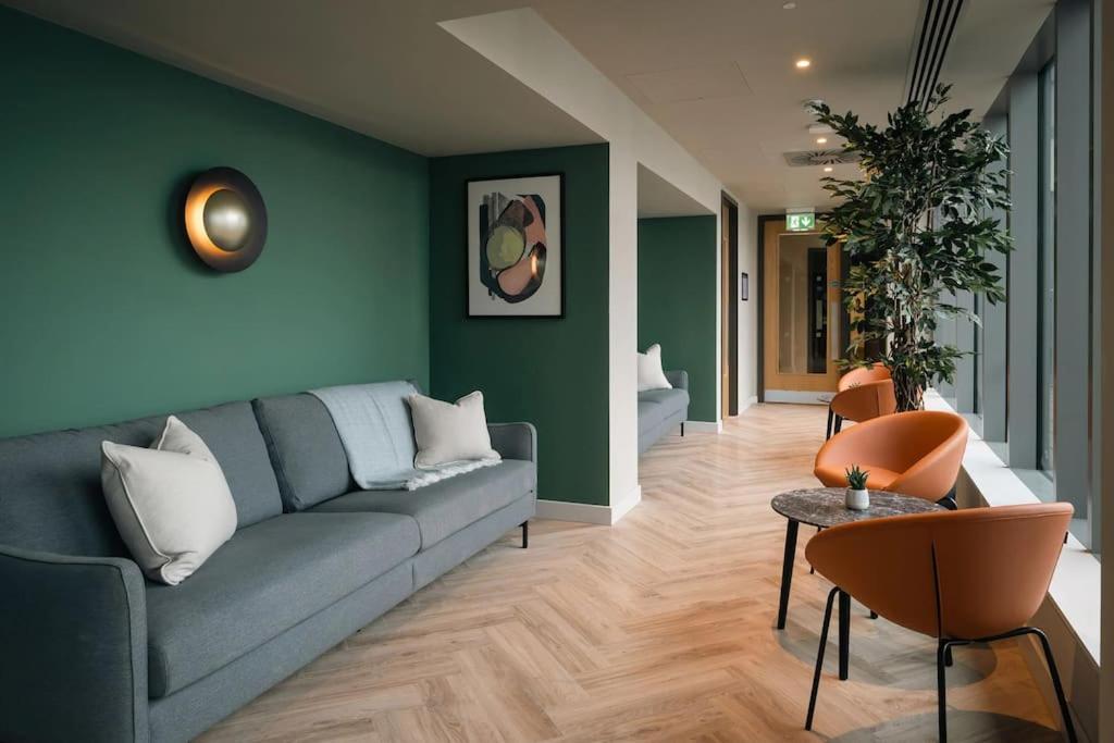 Large Luxurious Studio in Dublin 18