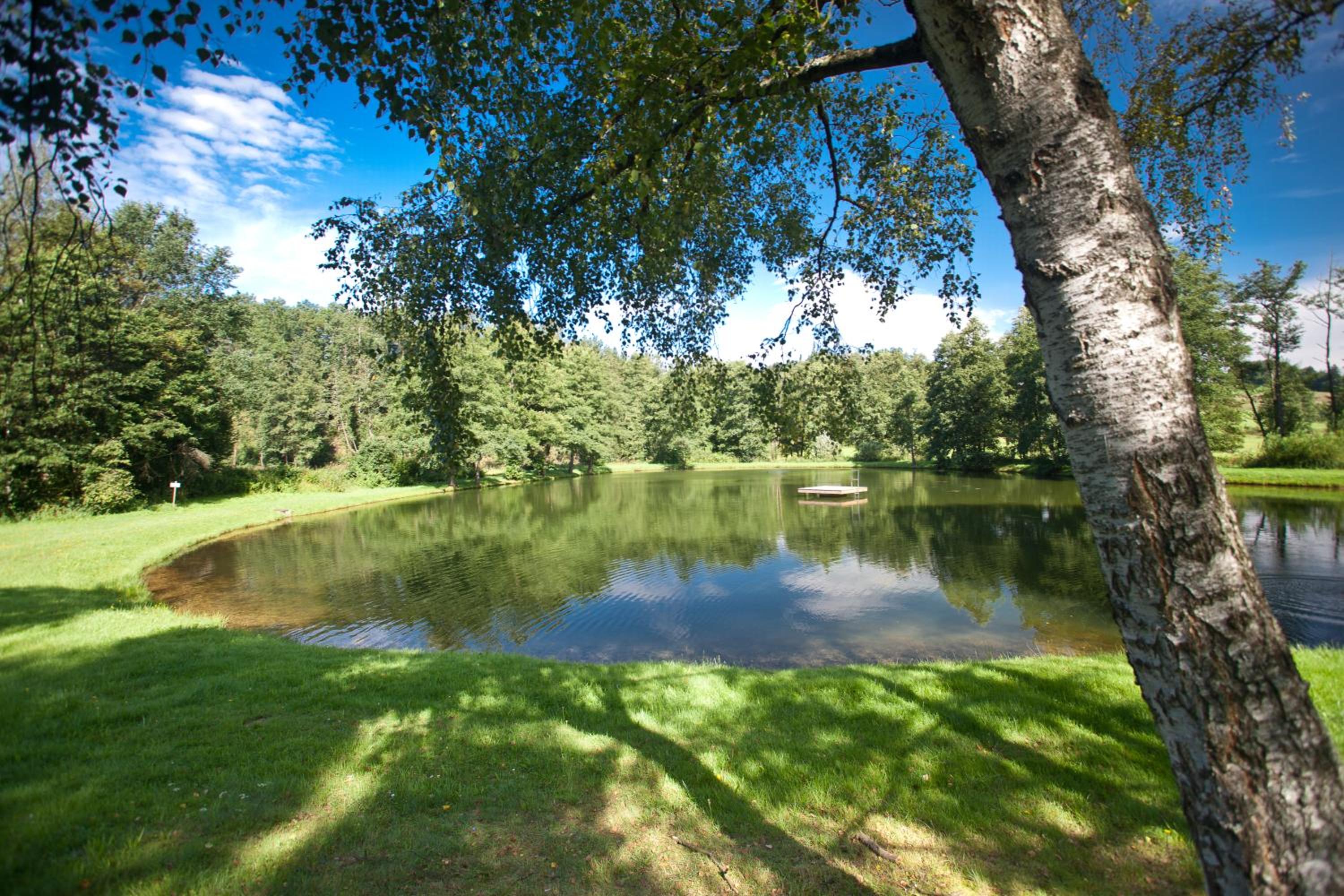 Landgasthof Am Sonnenhang - Property Image 4