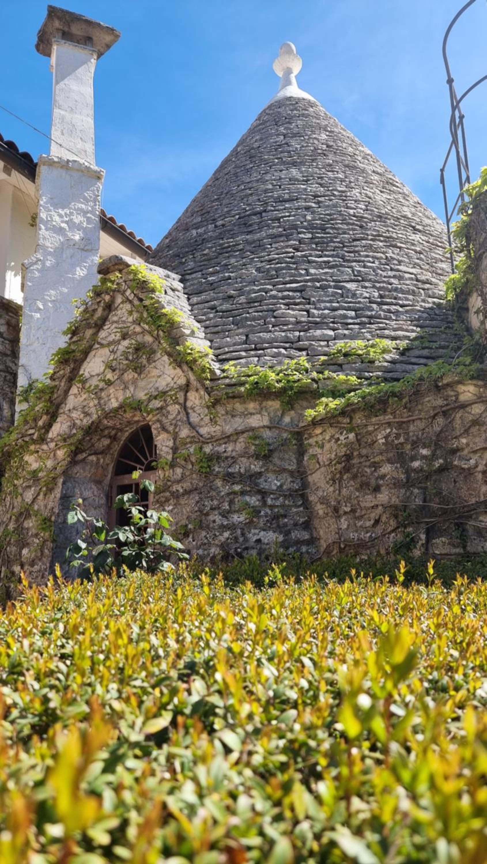 Agriturismo Iazzo Scagno