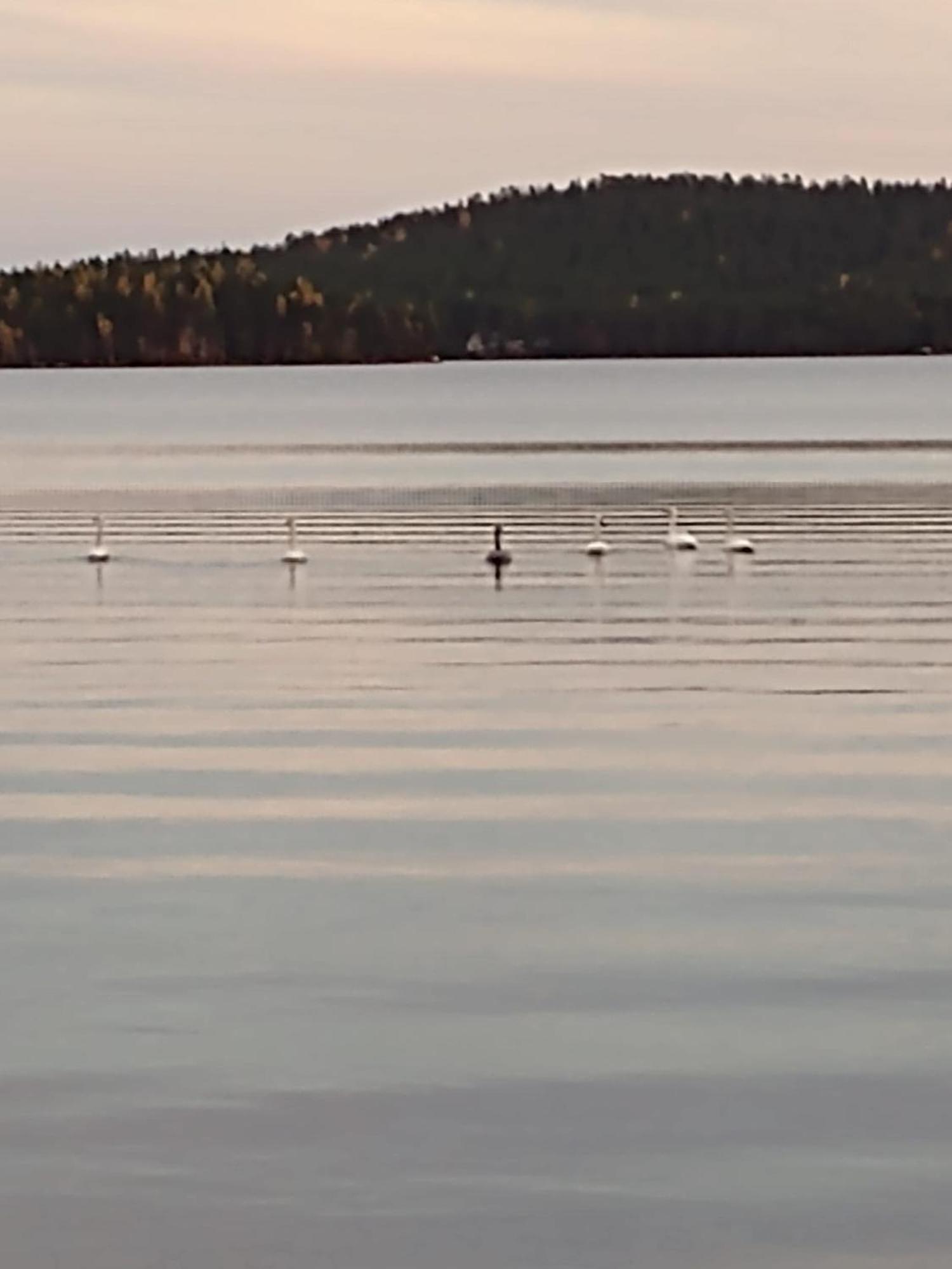 Lake Norva Lodge