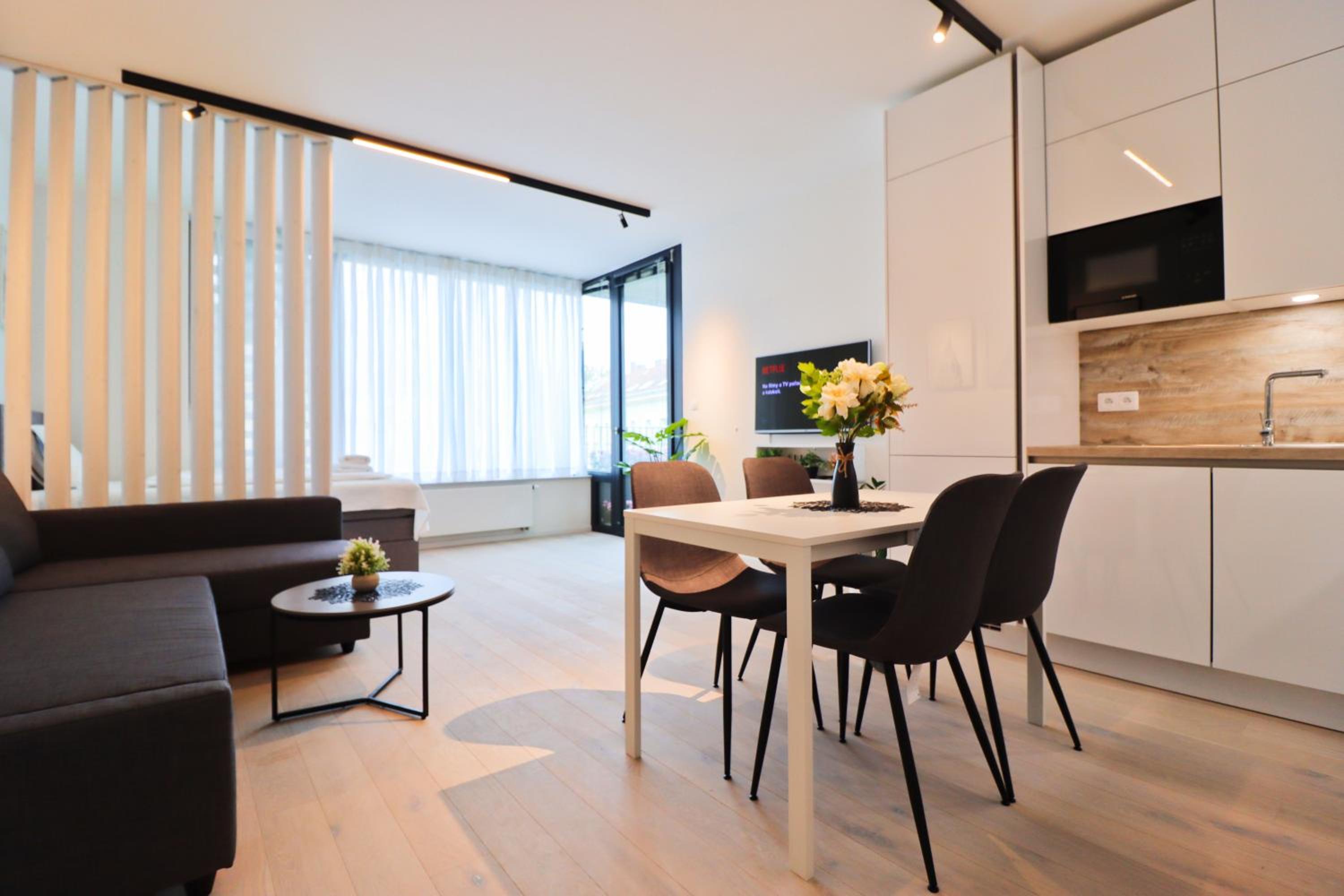 Sunny Apartment in Smichov, Prague 5