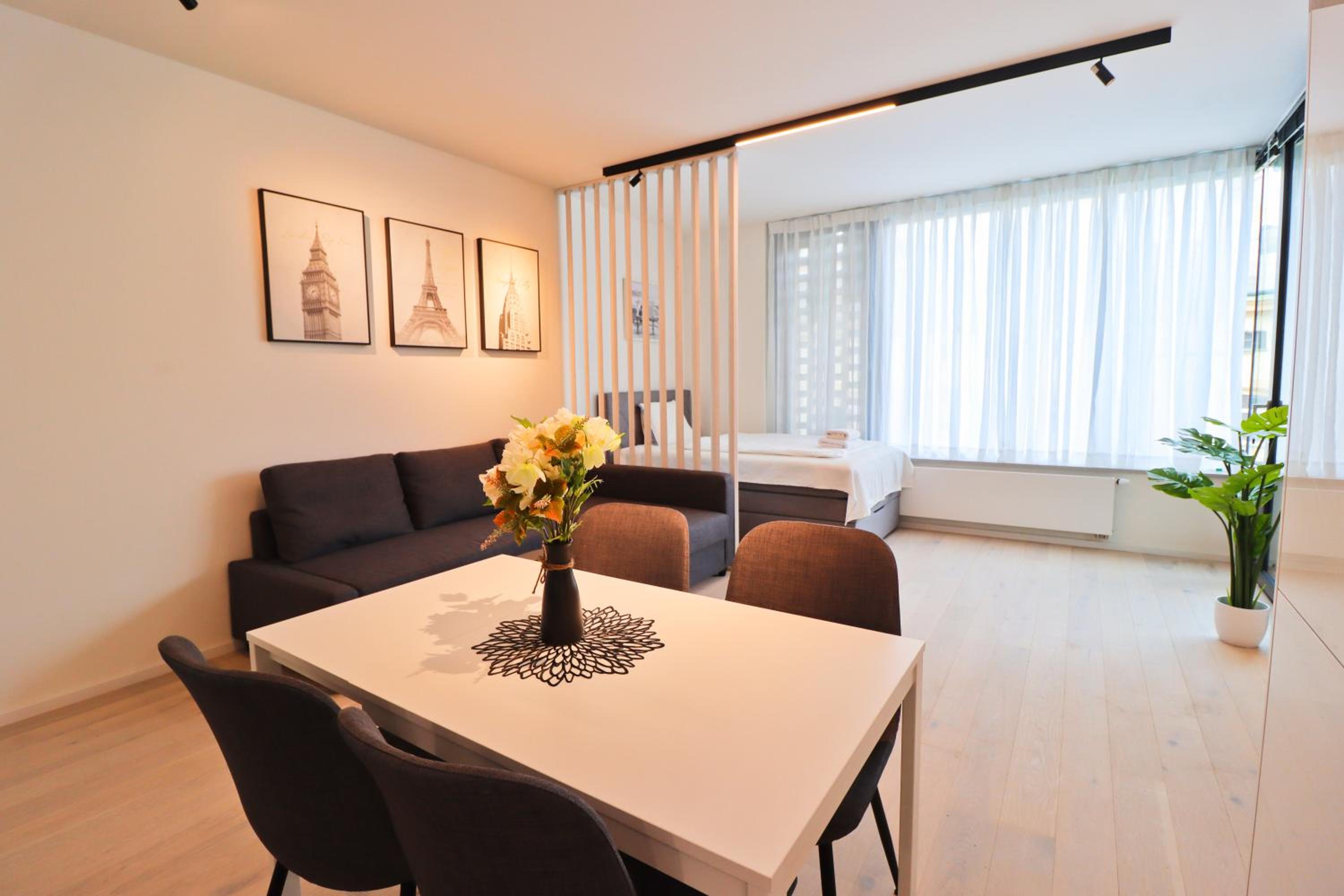 Sunny Apartment in Smichov, Prague 5