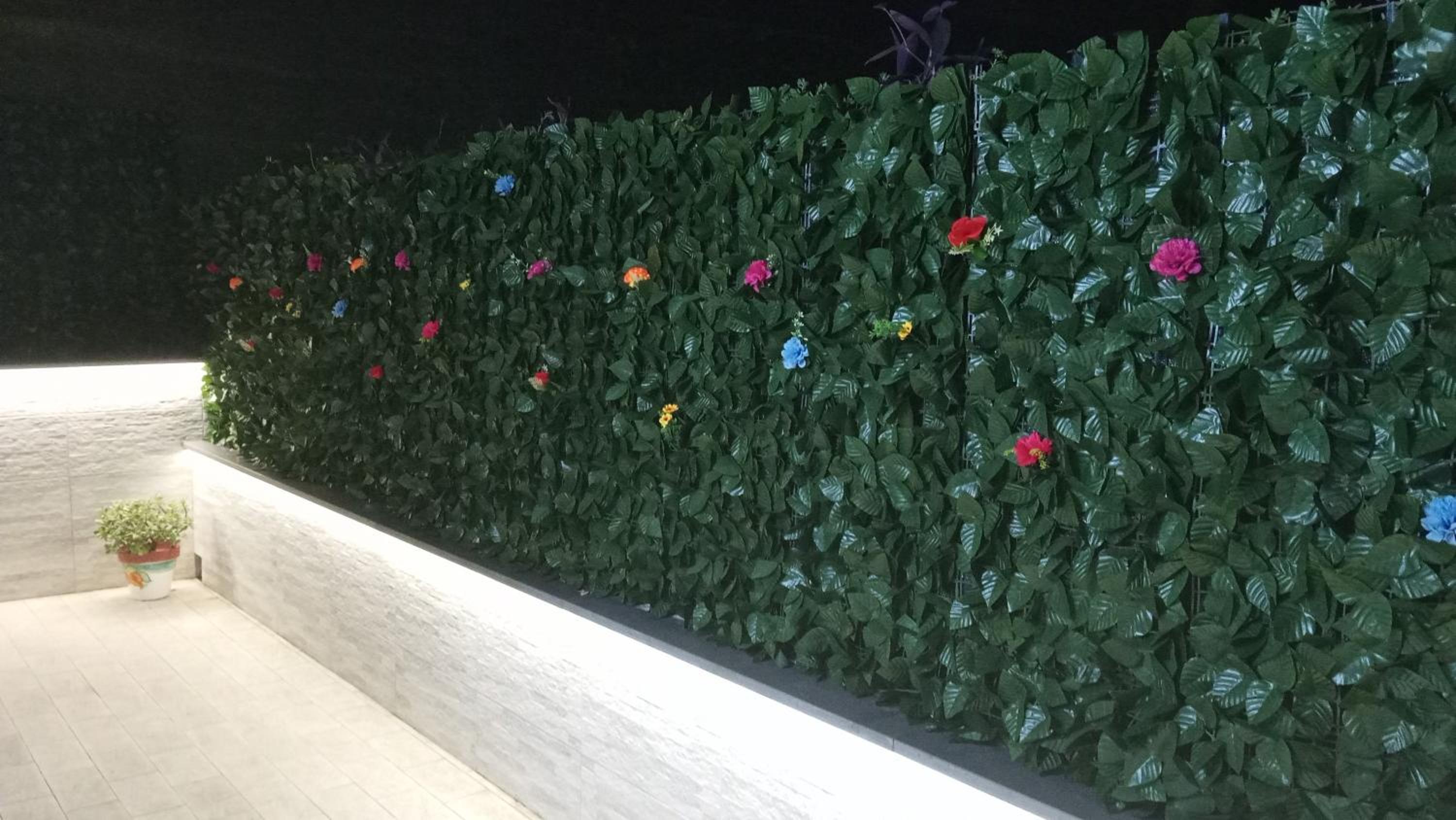 IL RE TRITONE photo 5