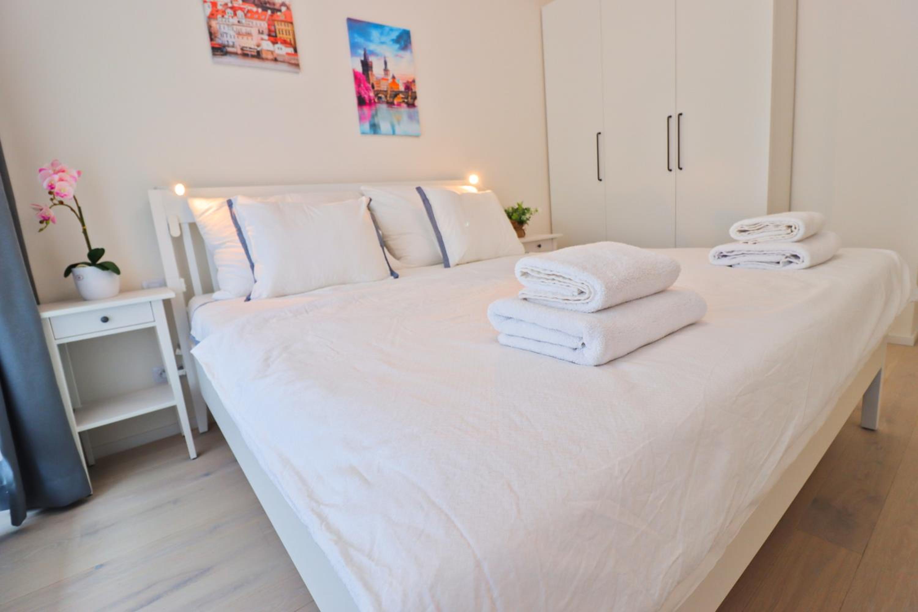 Sunny Apartment in Smichov, Prague 5