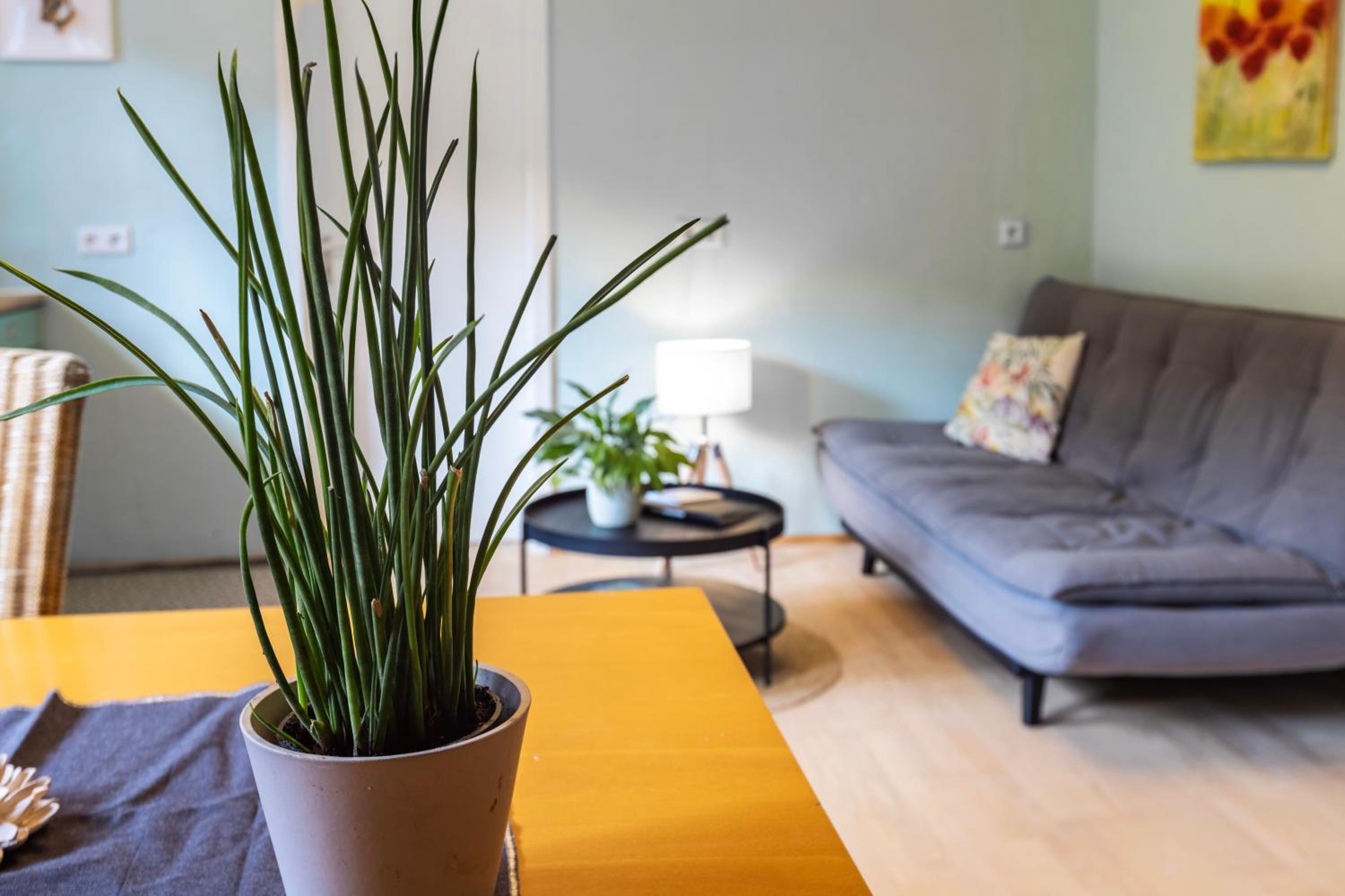 Ferienwohnung Karker 1 - Property Image 15