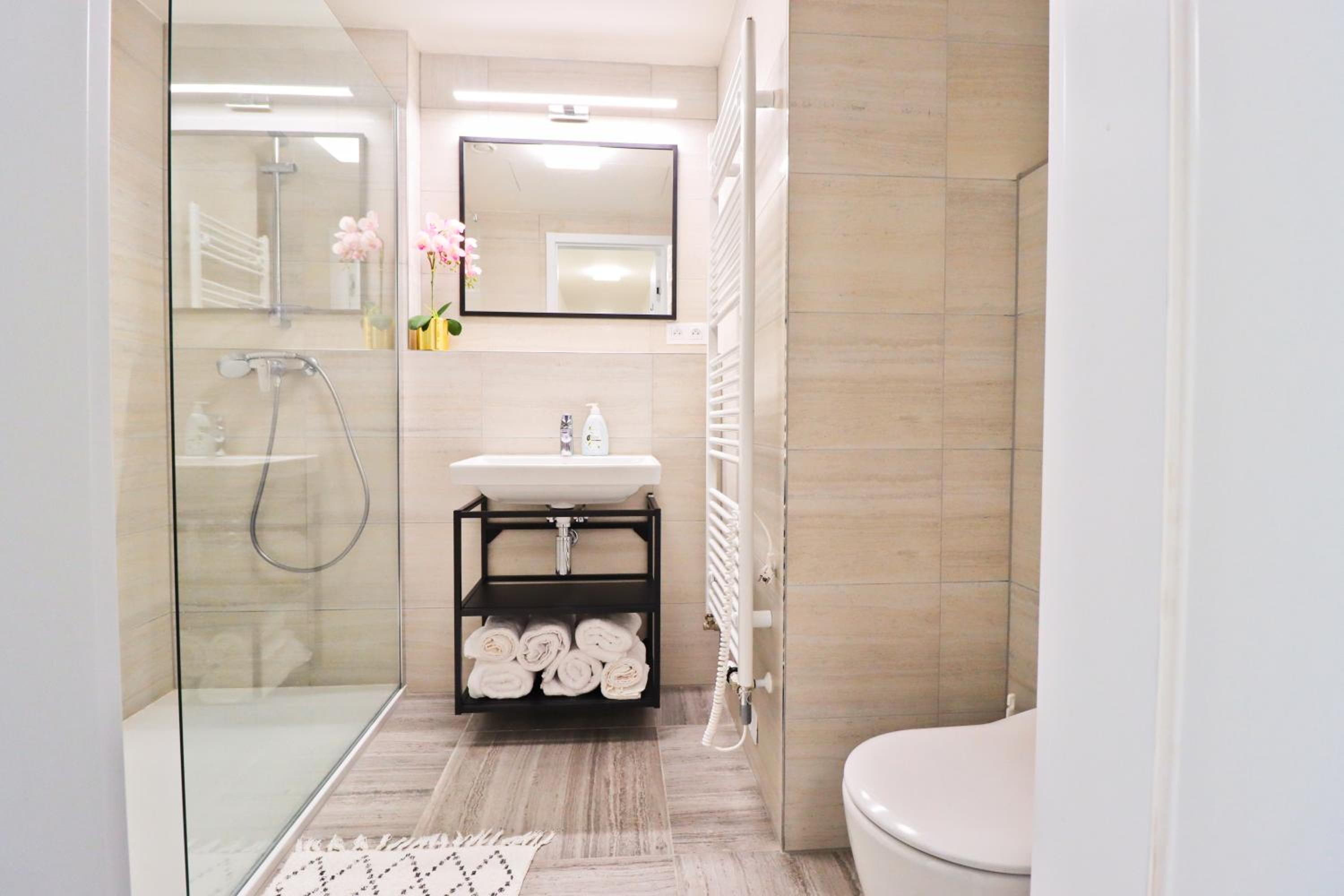 Sunny Apartment in Smichov, Prague 5