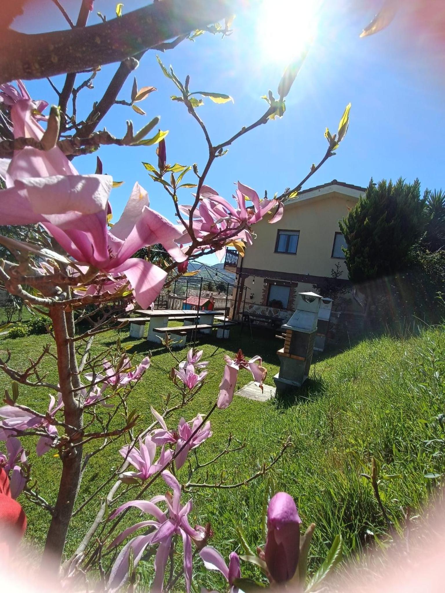 Apartamentos la Escuela en Cantabria