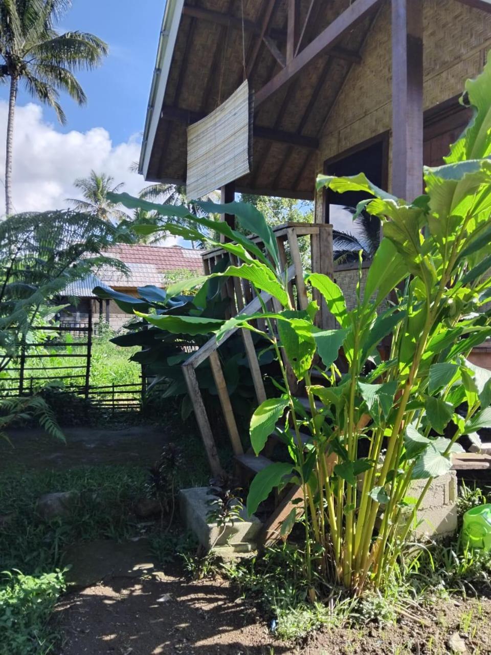 Citra Homestay