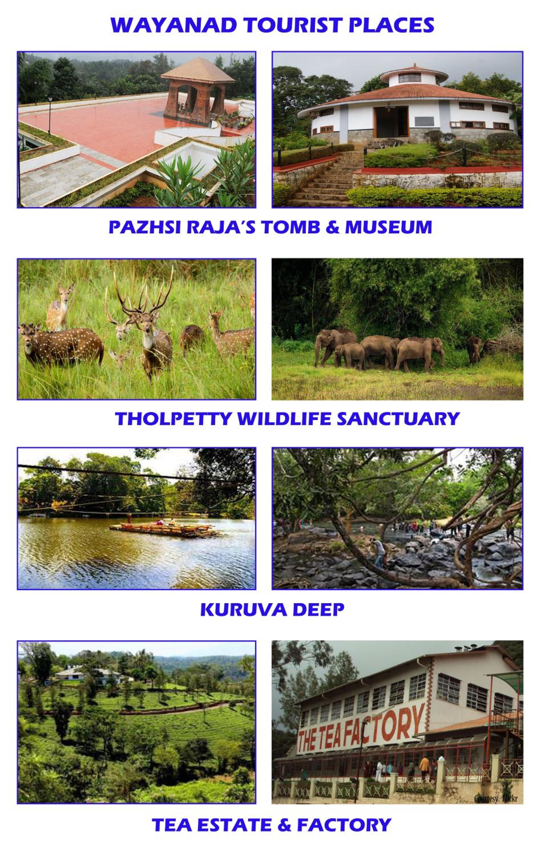 MISTY MOUNT VILLA MANANTHAVADY