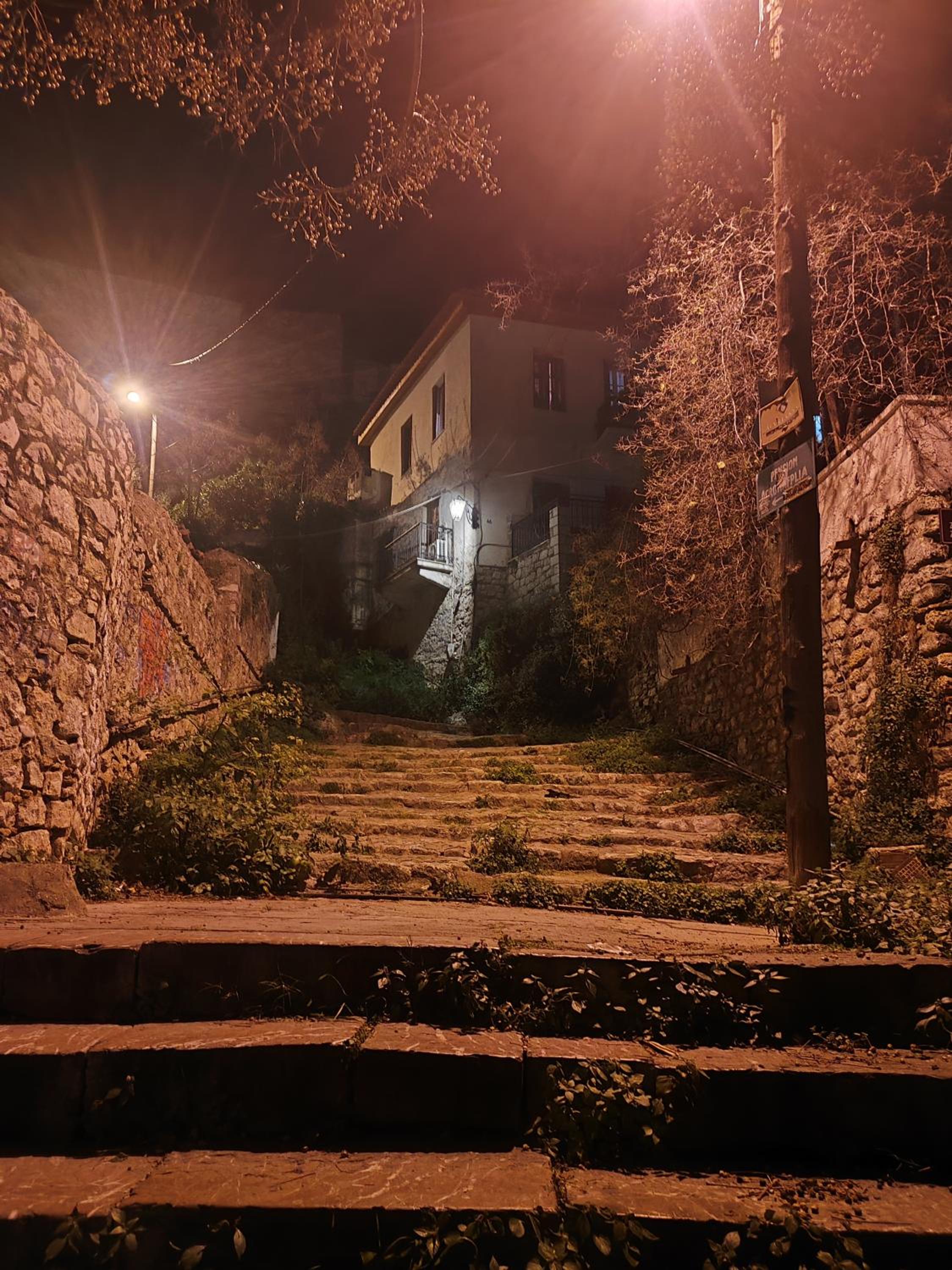 Photo 45