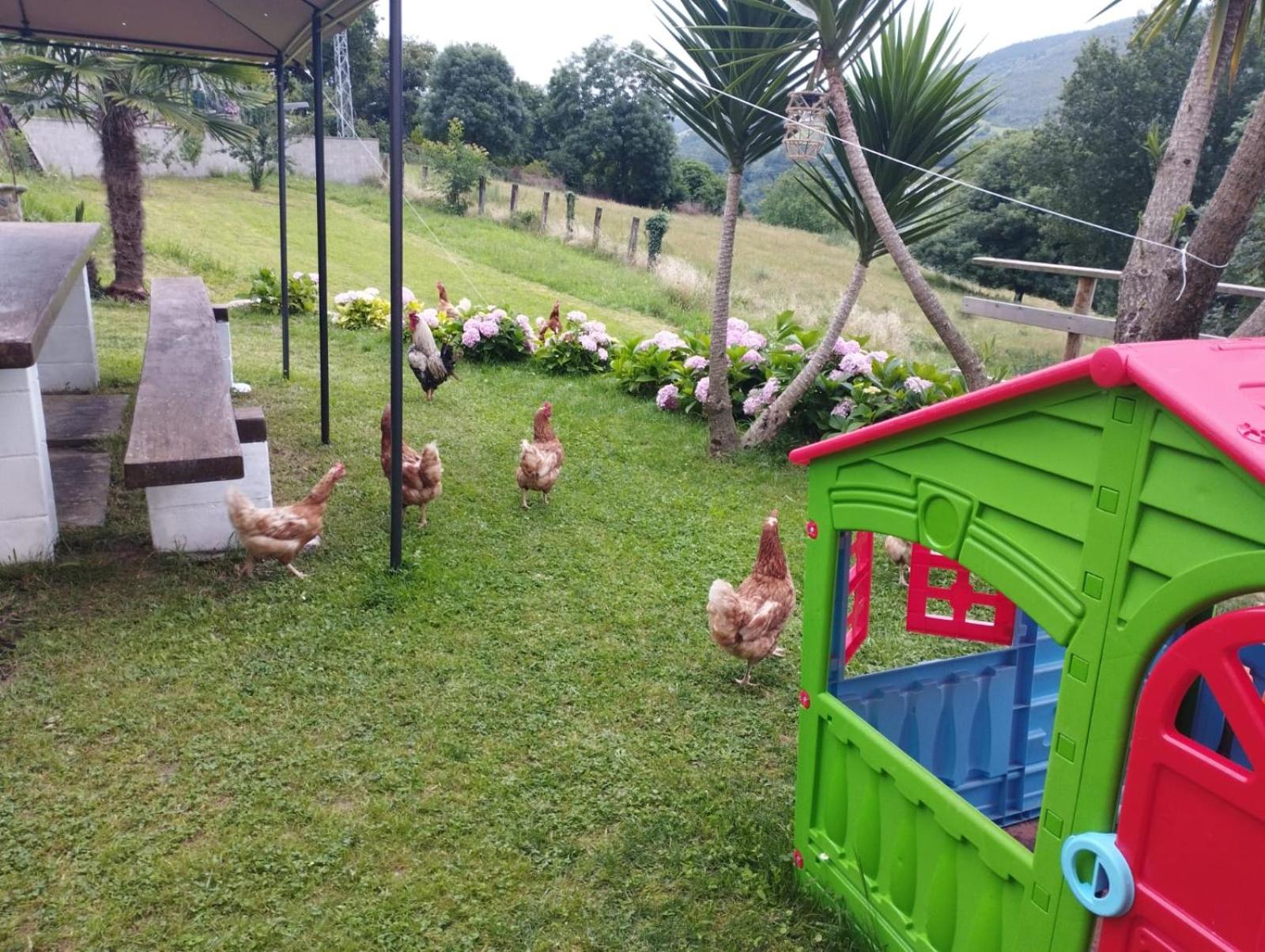 Apartamentos la Escuela en Cantabria
