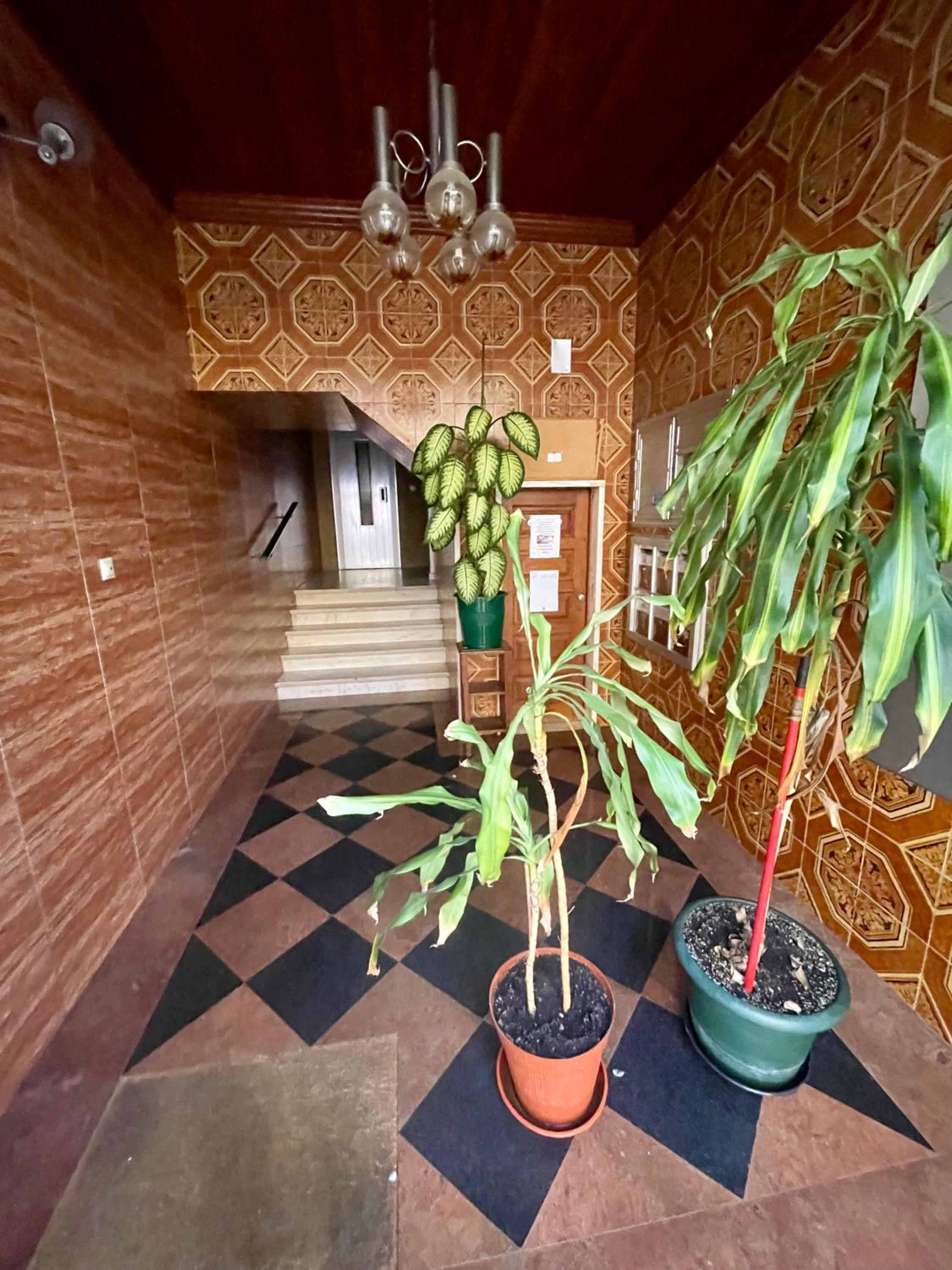 Quarto Alameda