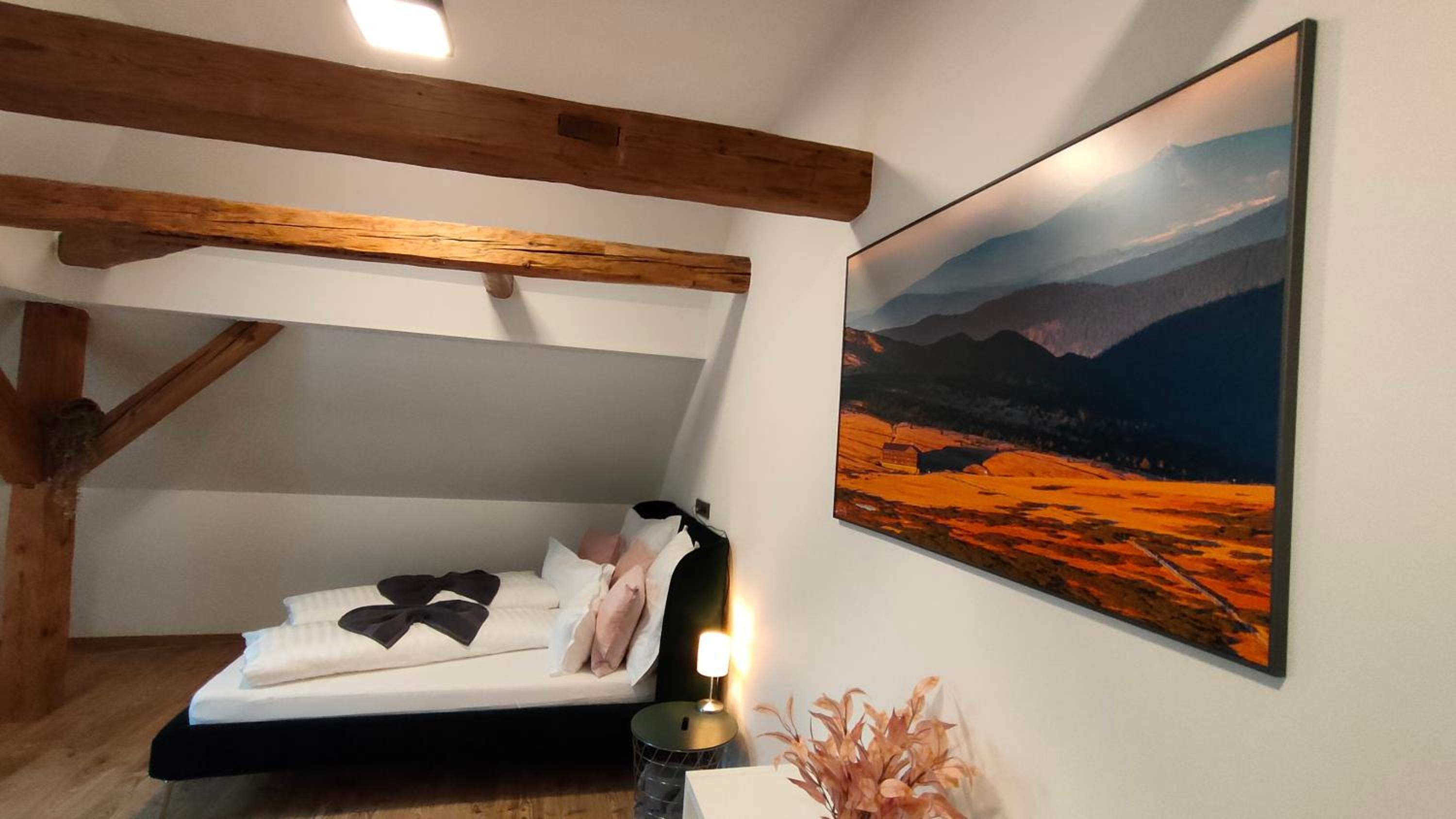 Apartmán v podhůří Krkonoš