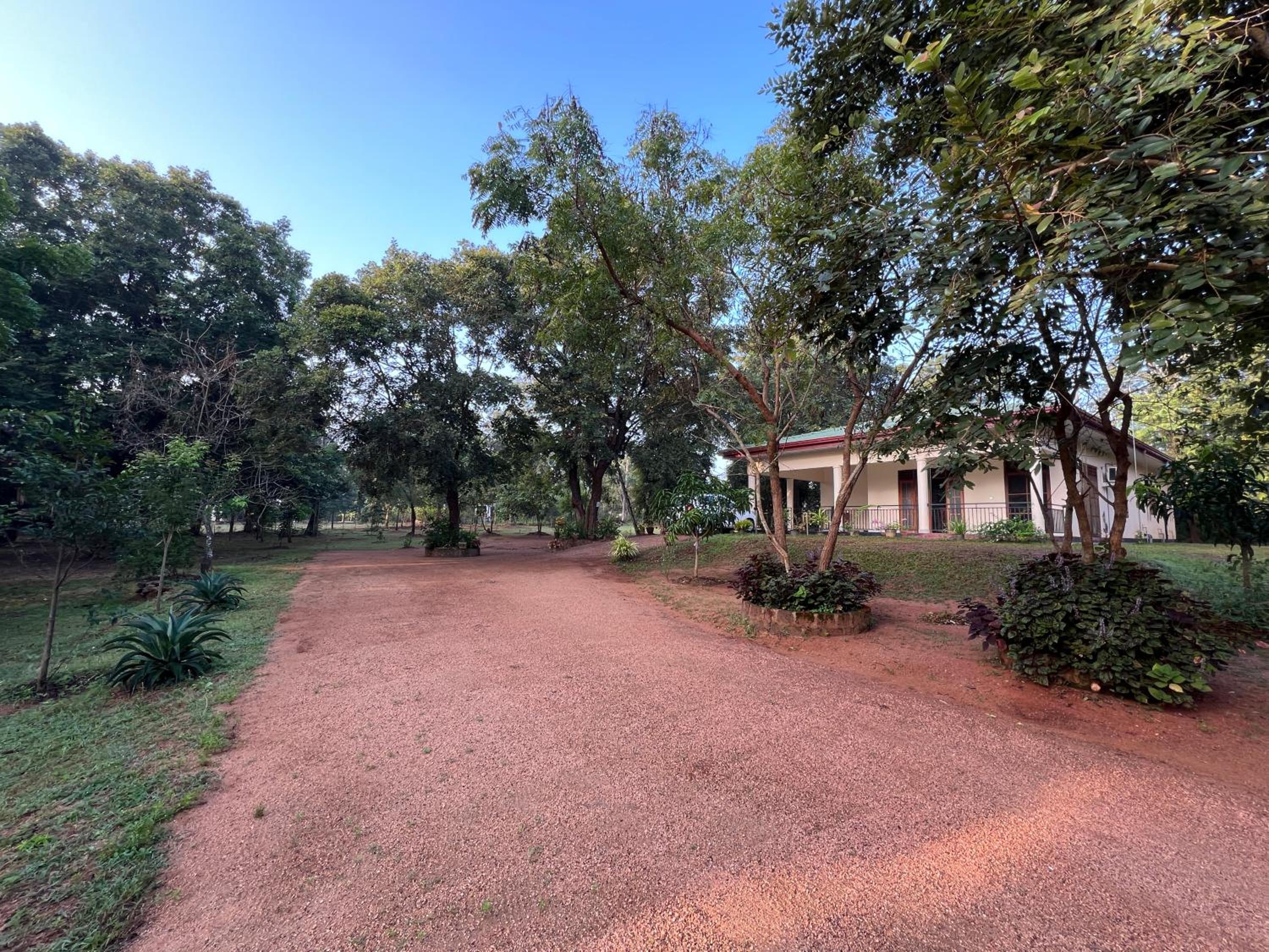 Green Haven Holiday Home view 2