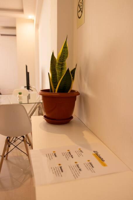 Spacious studio by Luanda Bay with balcony
