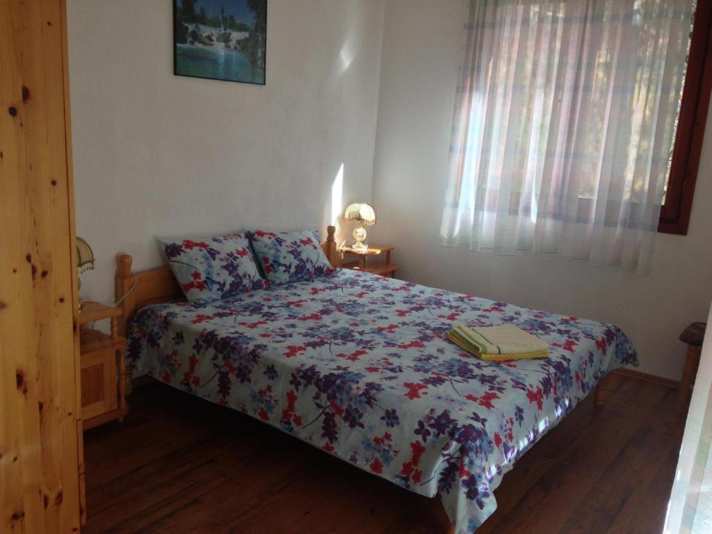 Family Hotel Shisharka