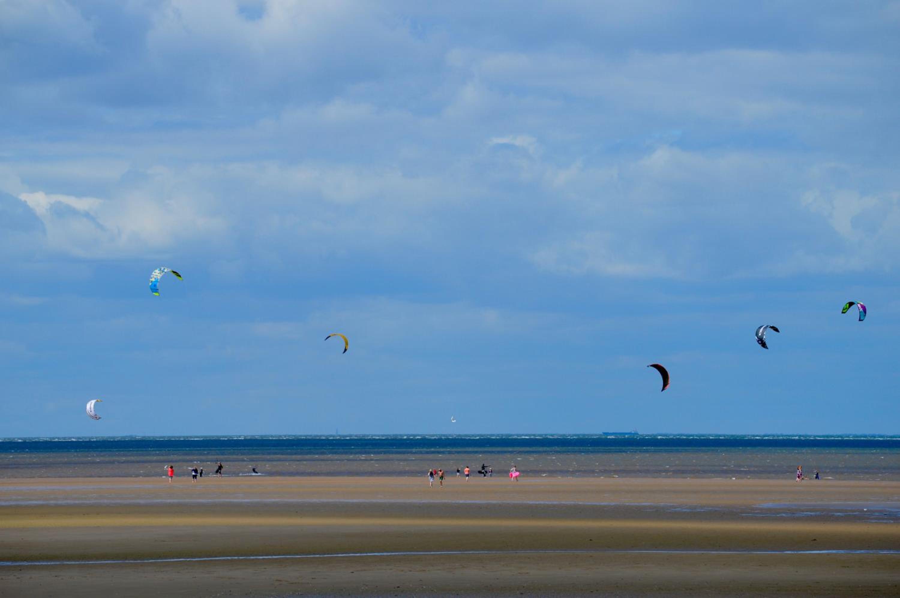 Photo 44