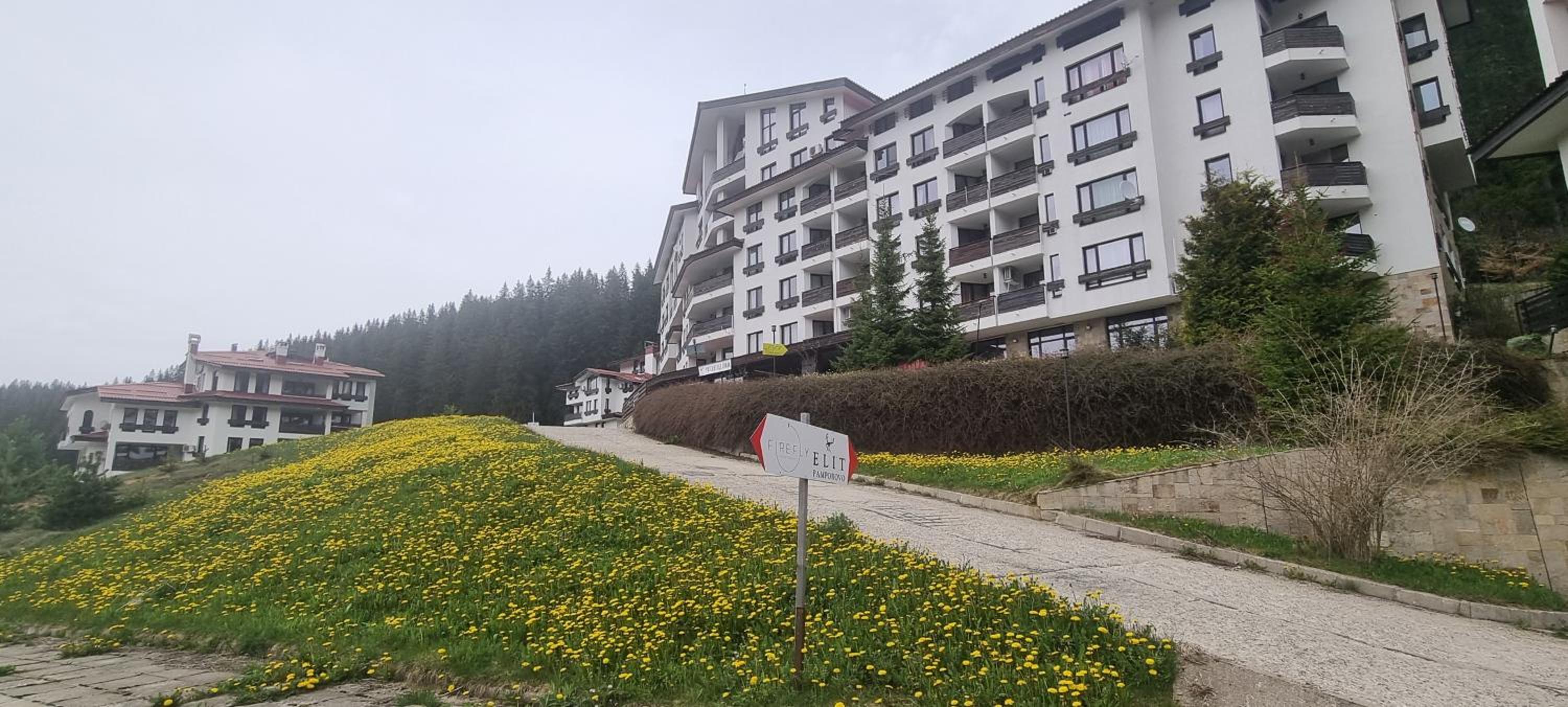 Elit Pamporovo Accommodation