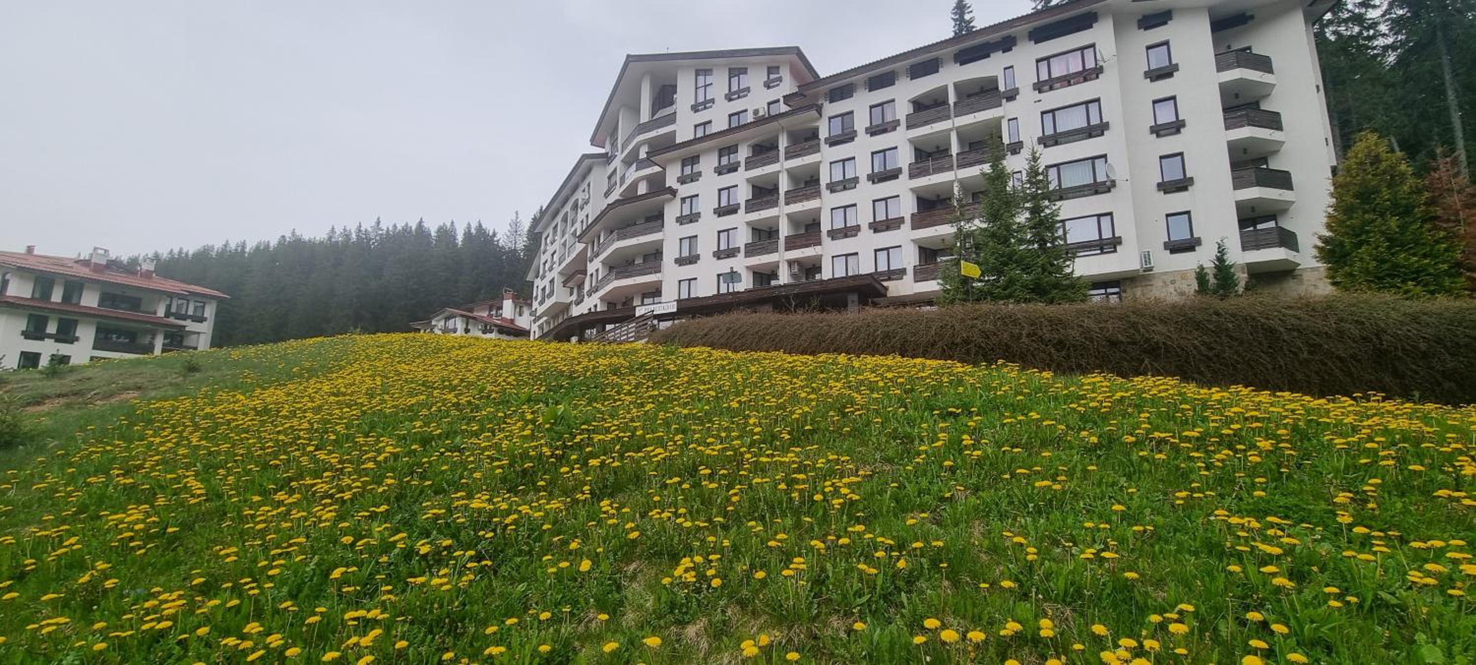 Elit Pamporovo Accommodation