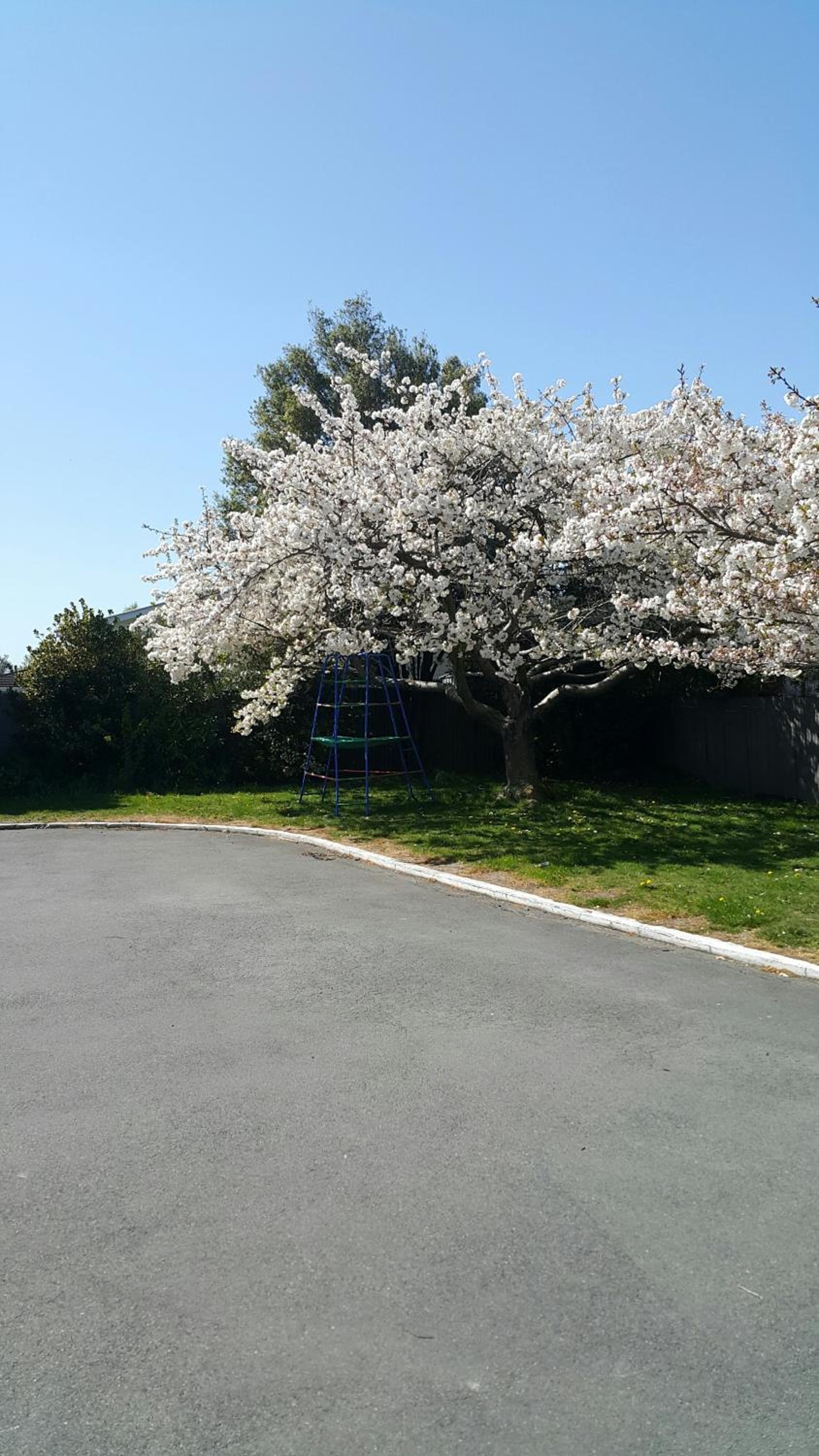Lilybrook Motel
