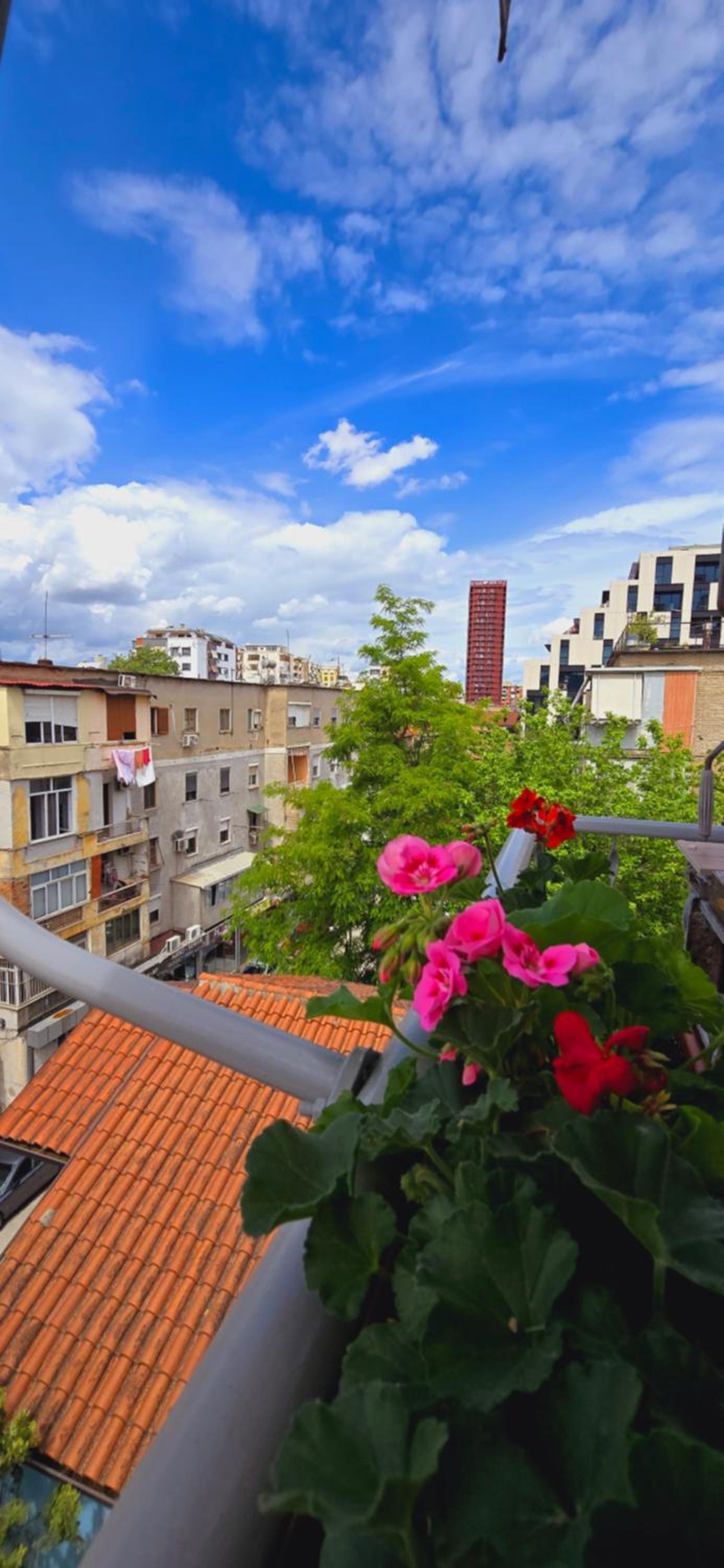 Arkle Apartments 2