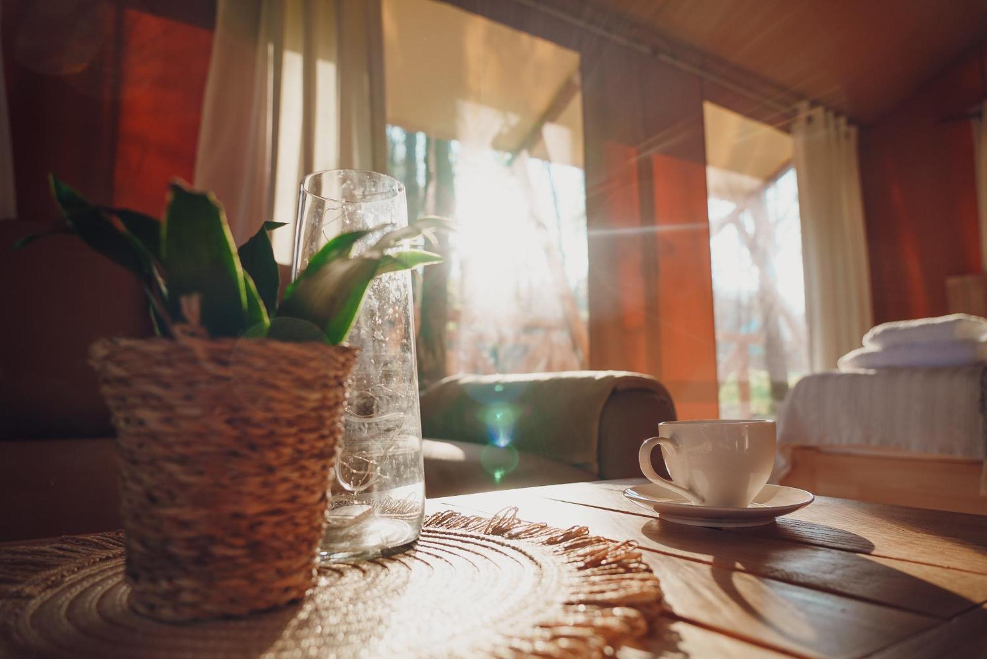 Glamping Mazury - Przystań Jeziorany