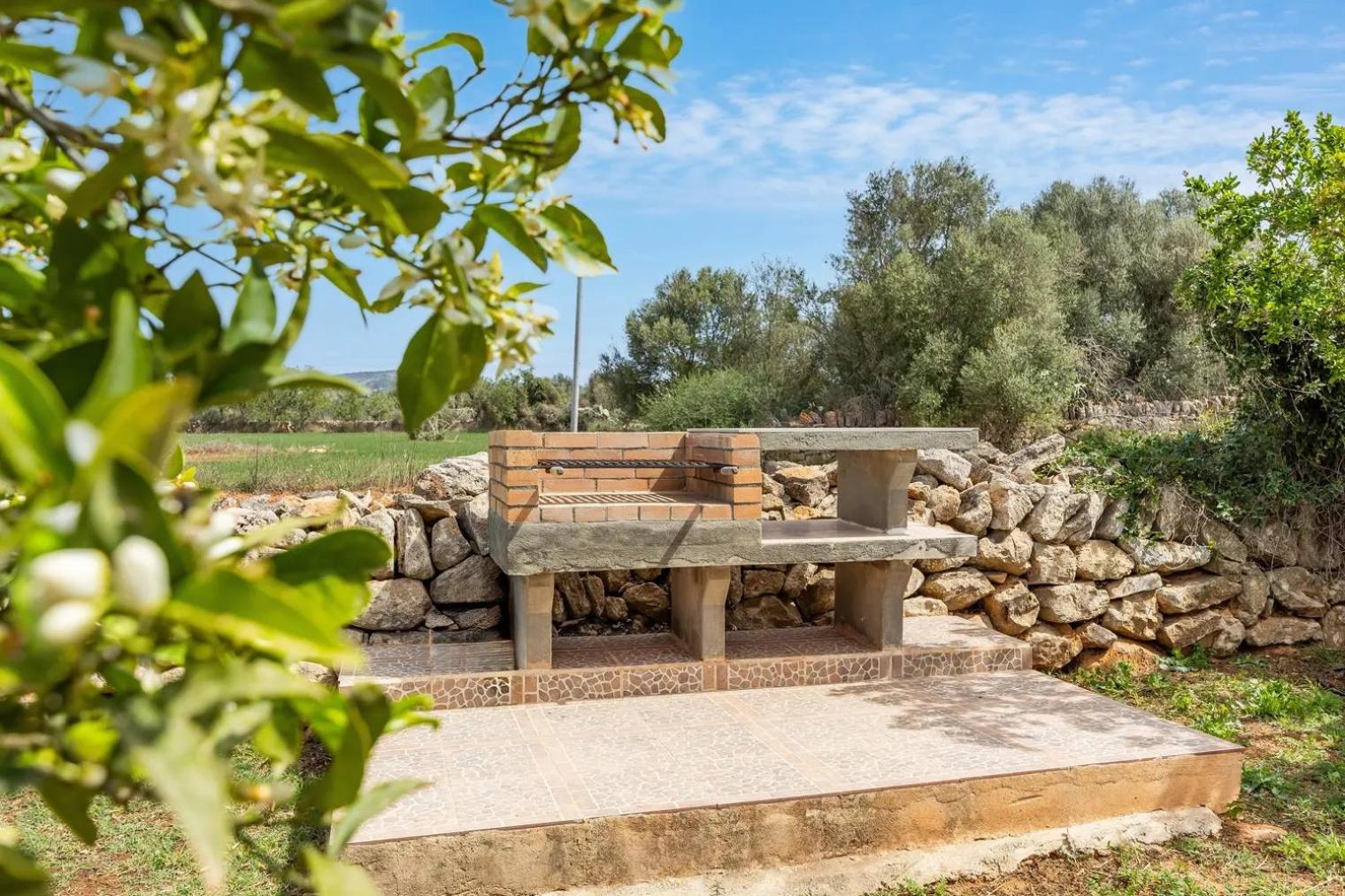 Son Coves photo 5
