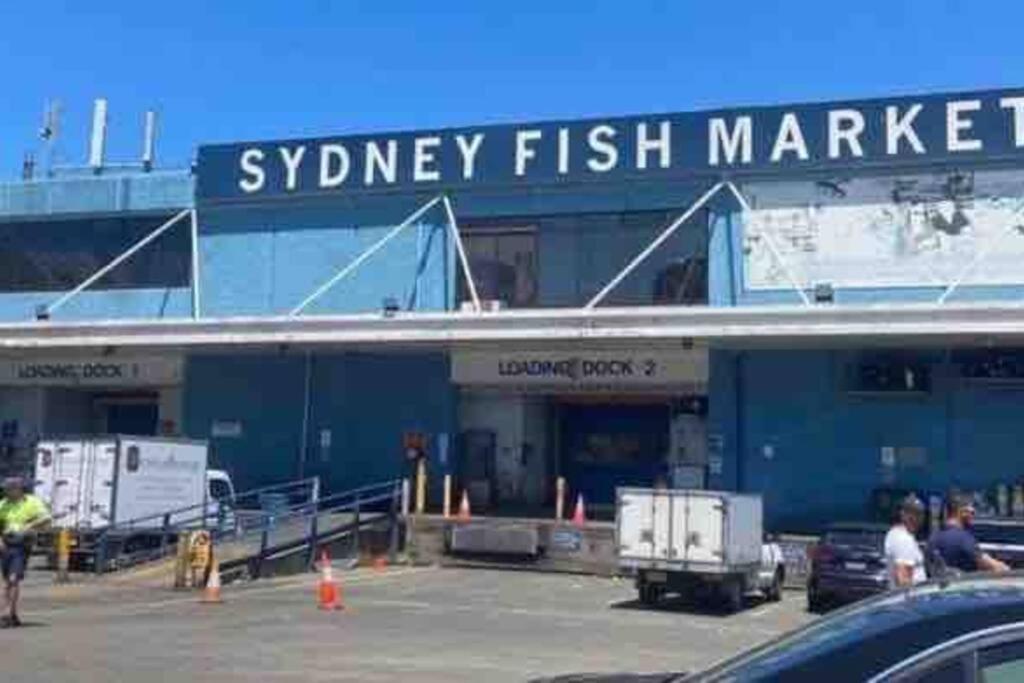 Cozy 2BR plus 1 Loft & Darling Harbour&Casino-7 mins walk