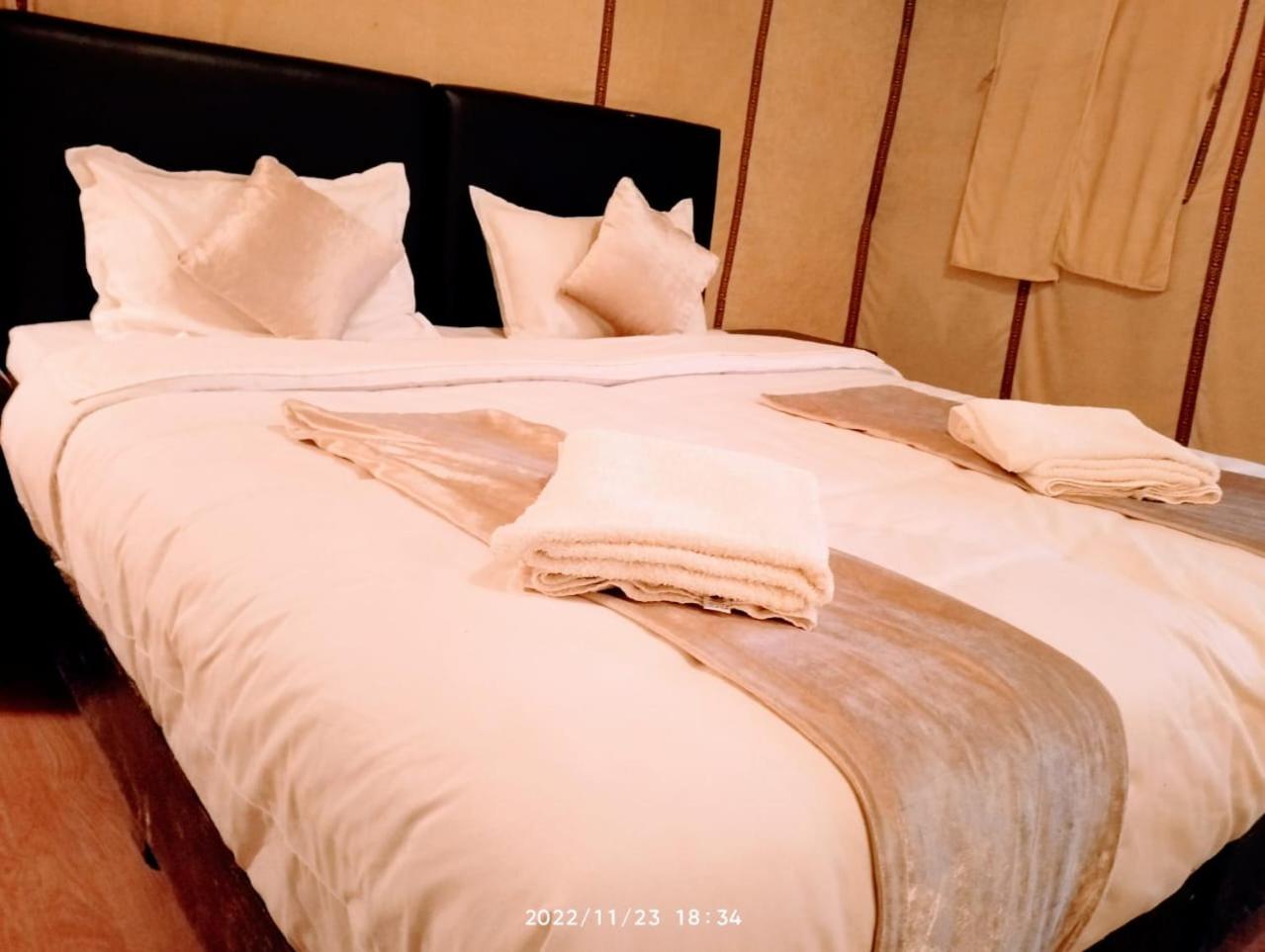 Merzouga Wildlife Desert Camp