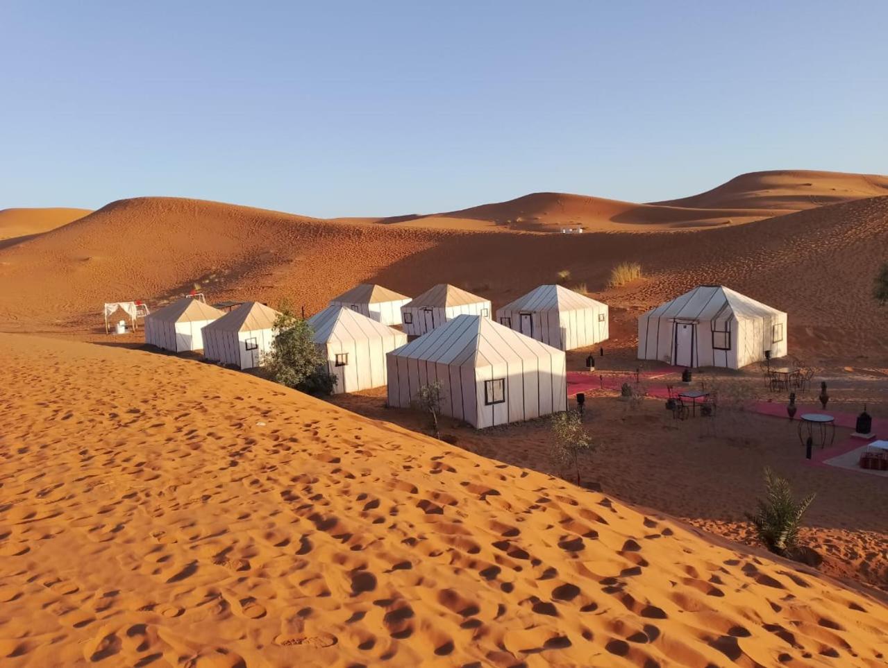 Merzouga Wildlife Desert Camp