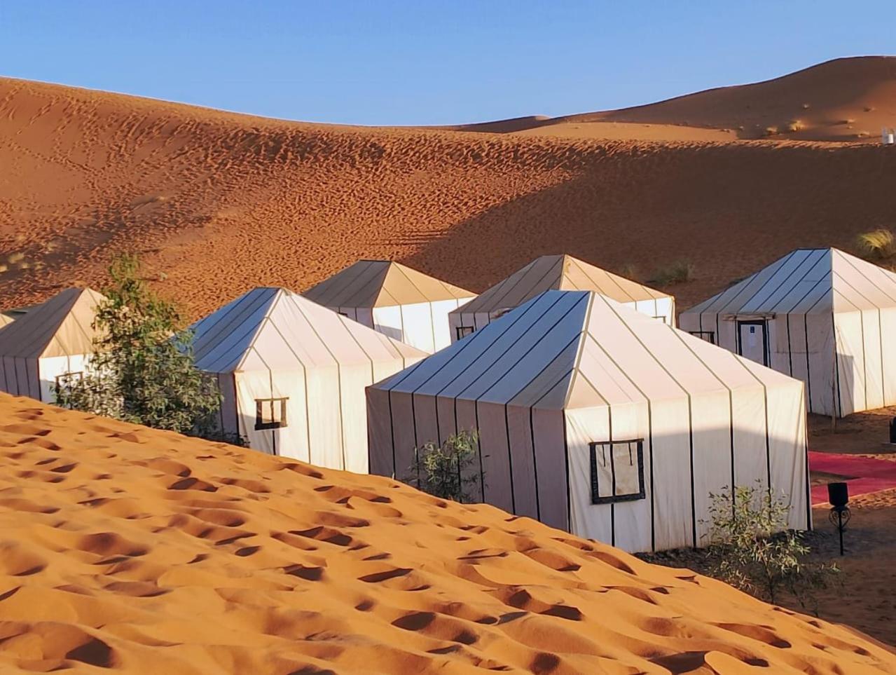 Merzouga Wildlife Desert Camp