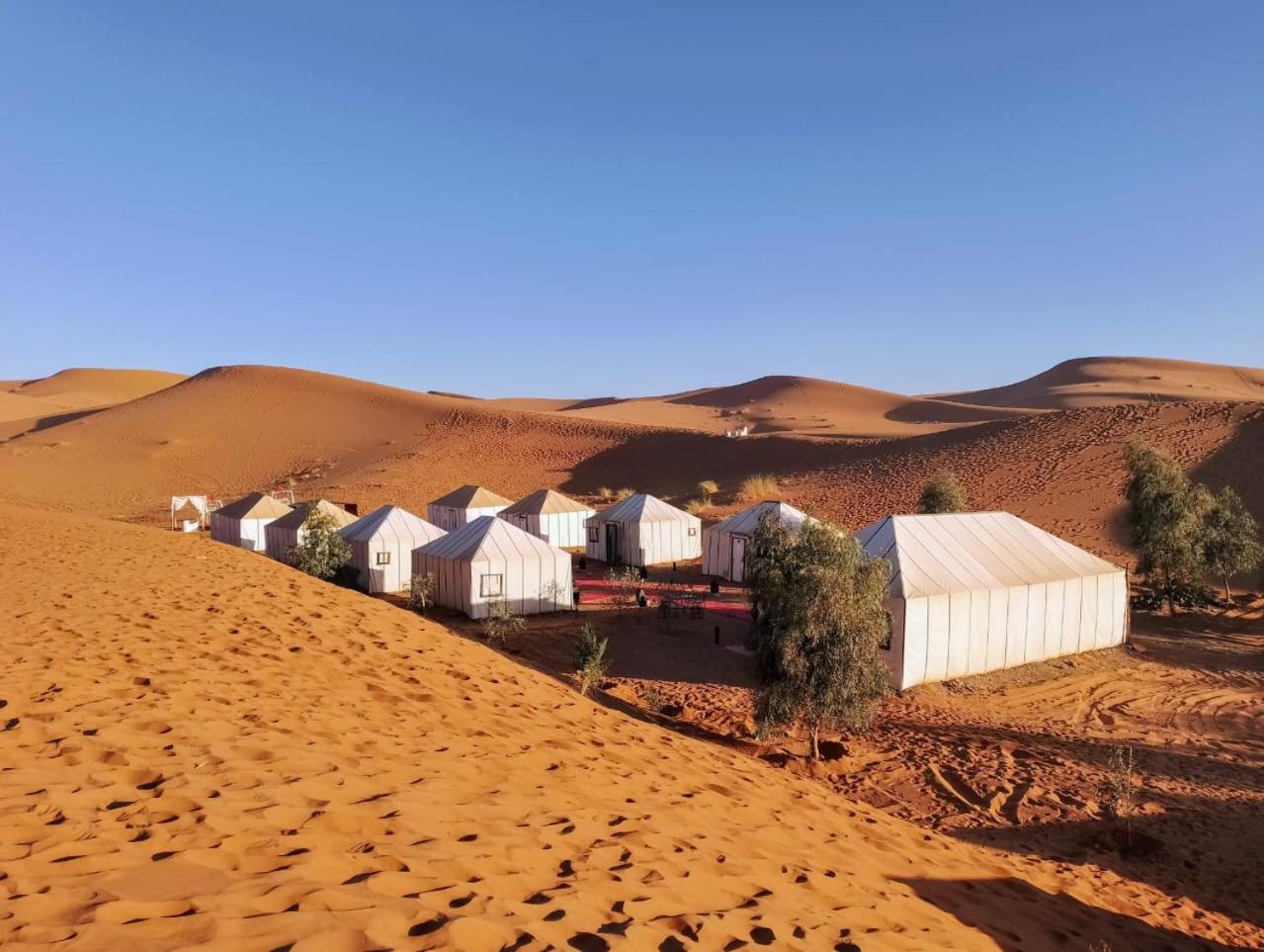Merzouga Wildlife Desert Camp