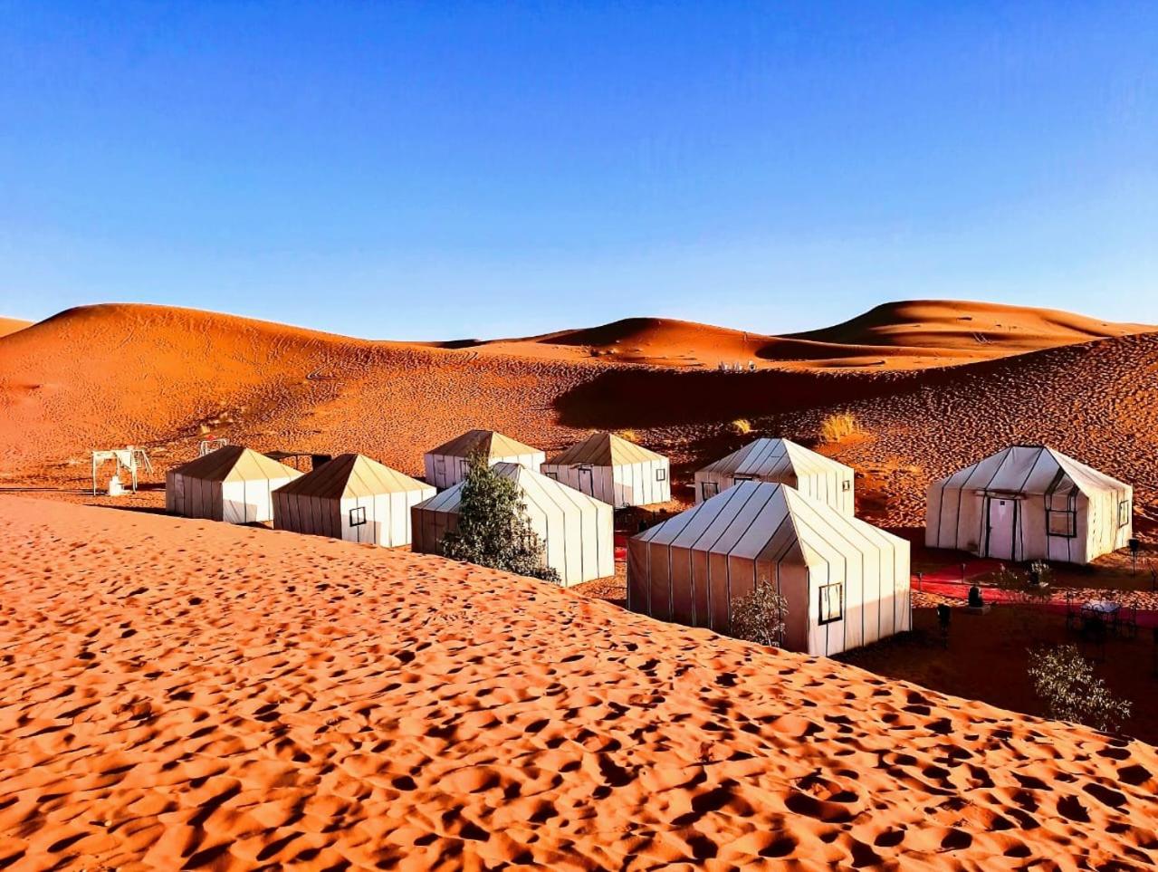 Merzouga Wildlife Desert Camp