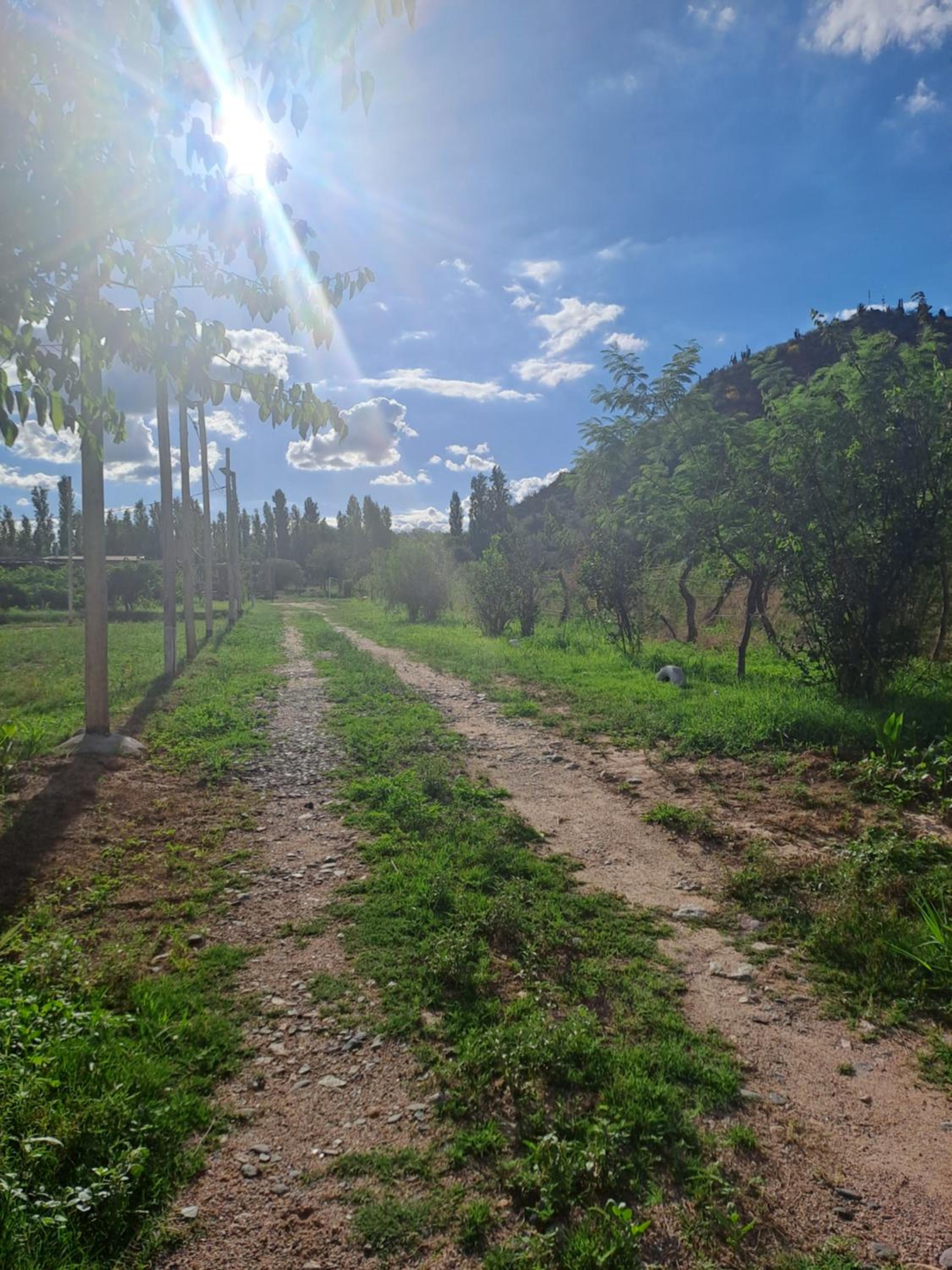 Finca La Viña