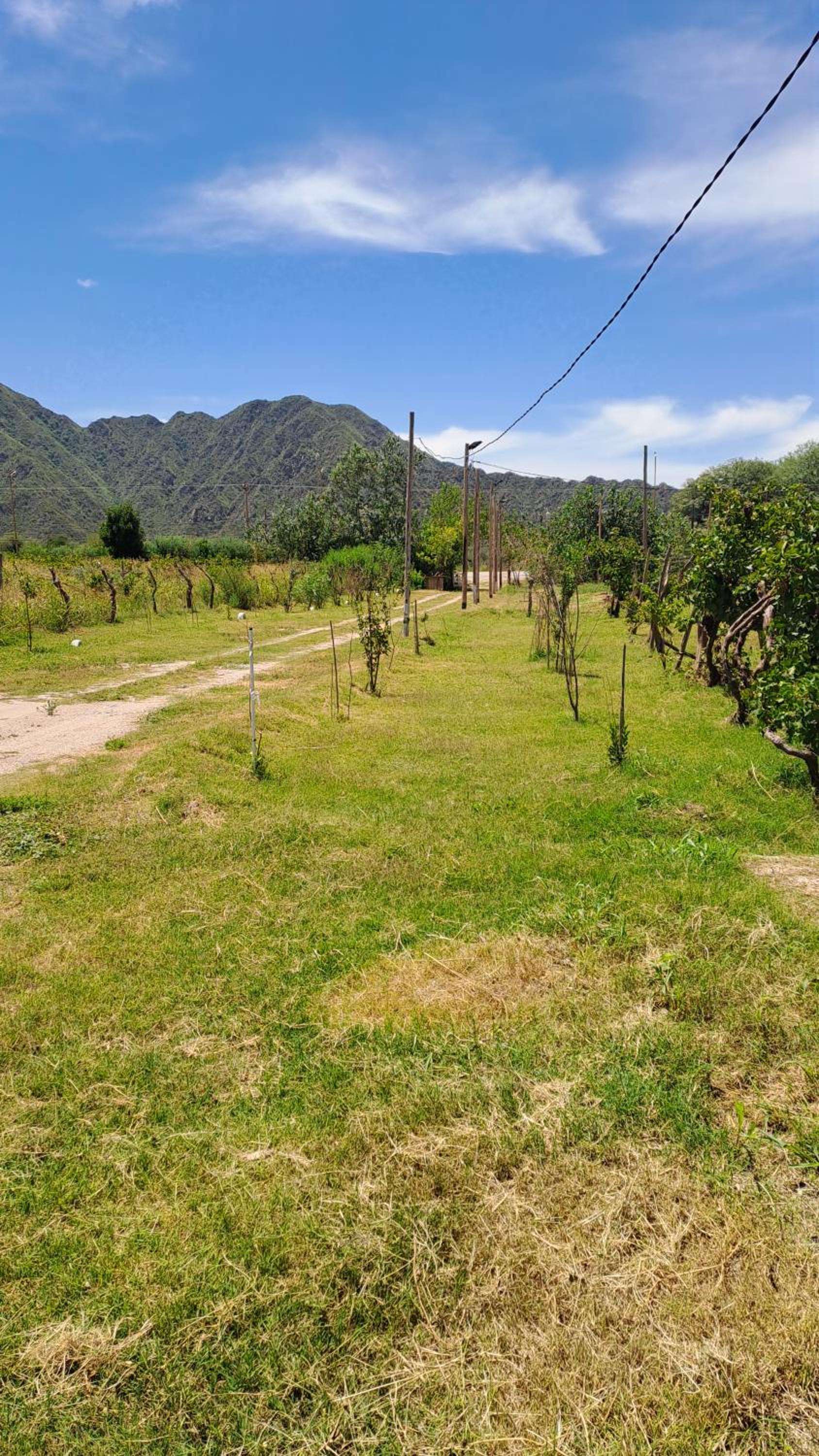 Finca La Viña