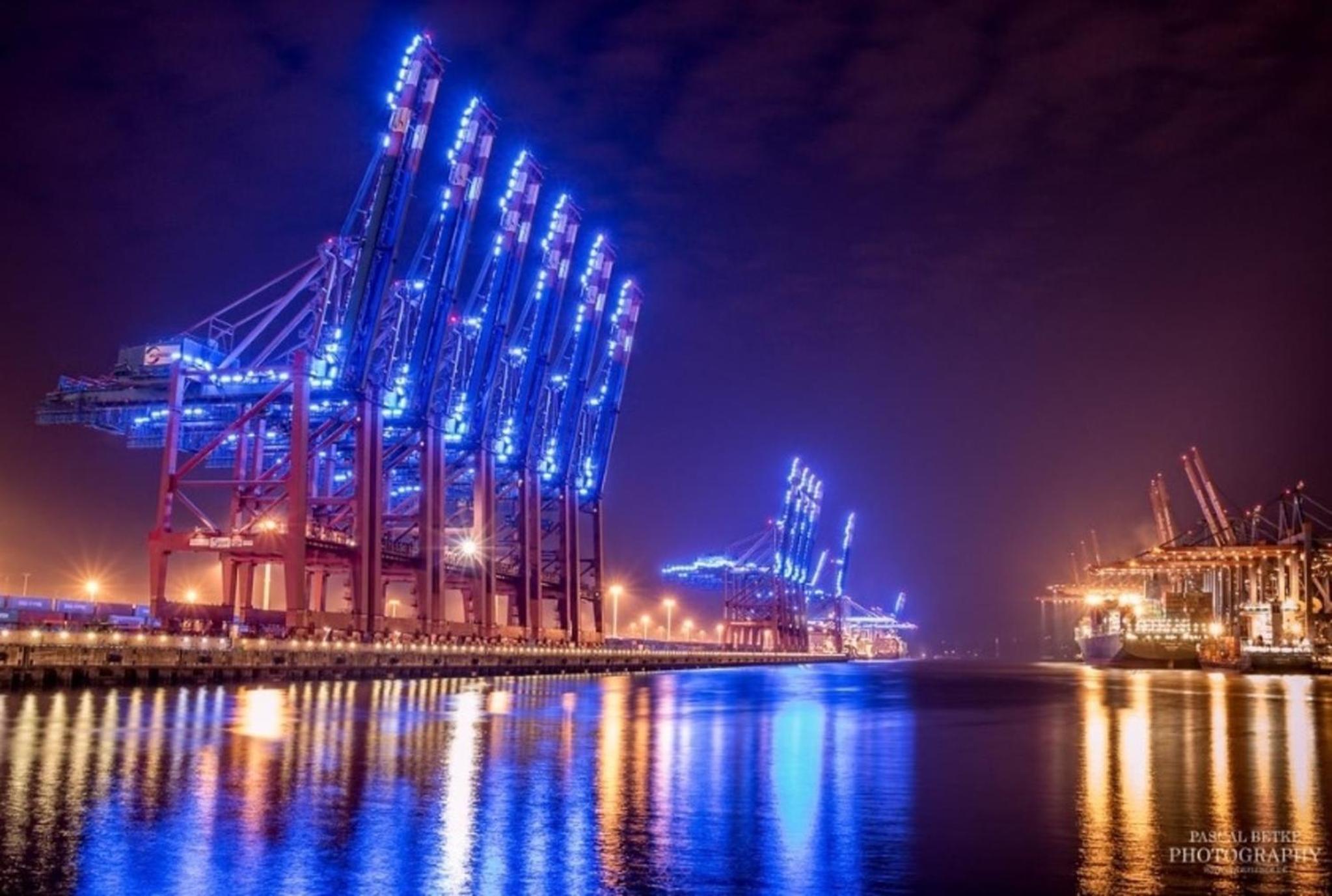 Appartement Jork Altes Land bei Hamburg direkt an der Elbe