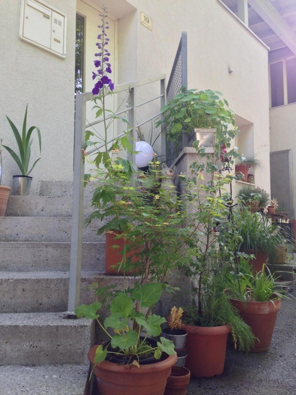 Photo 40