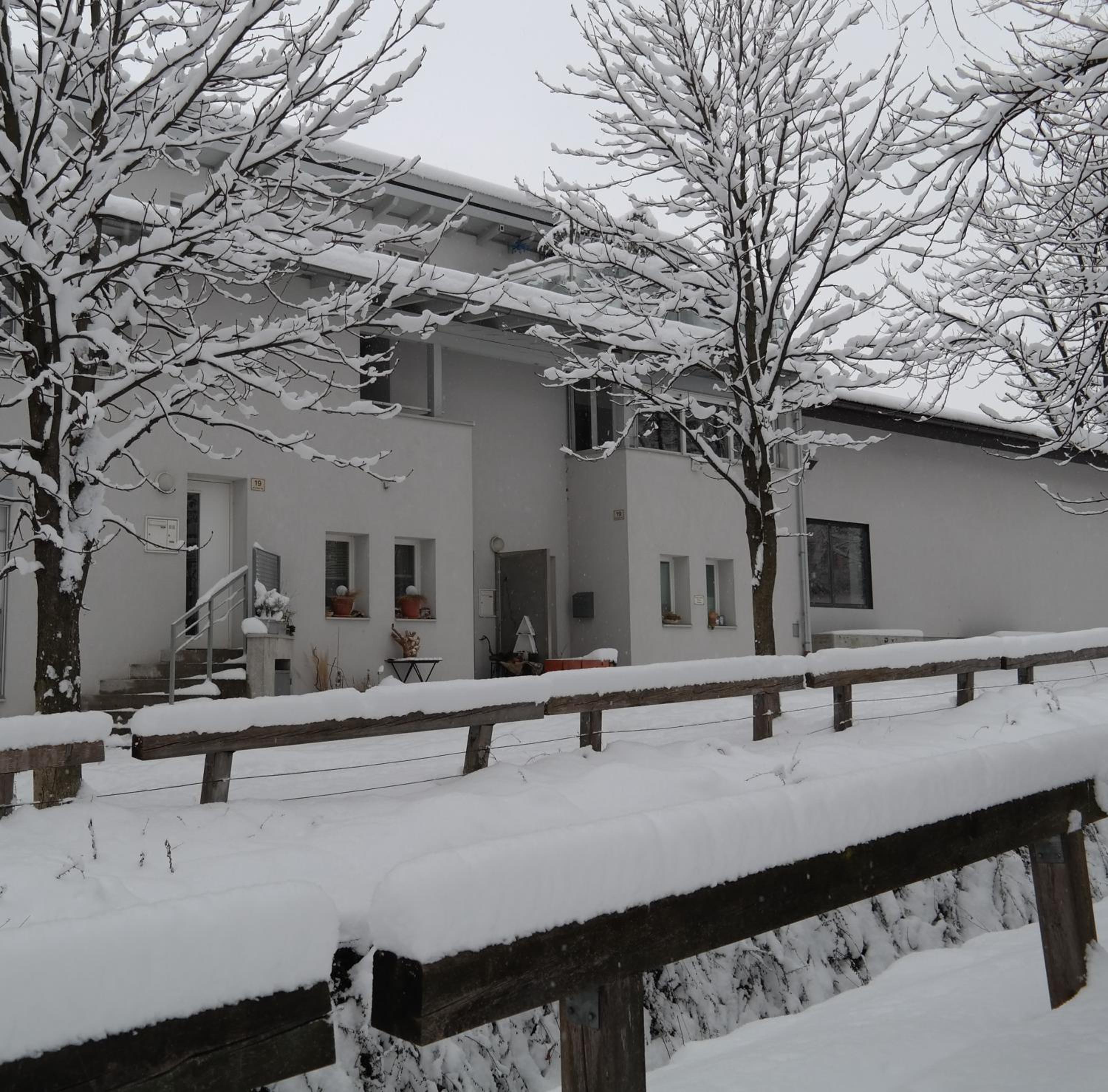 Photo 41