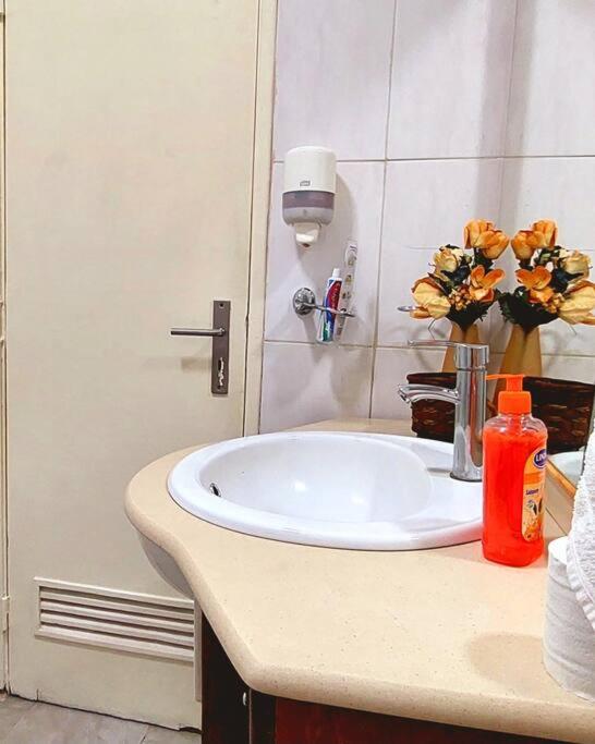 Pet friendly T1 sossegado c/ pátio espaçoso