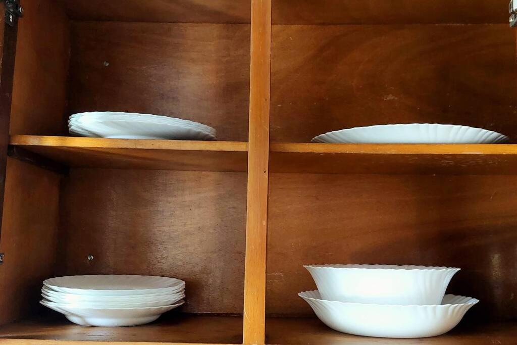 Pet friendly T1 sossegado c/ pátio espaçoso