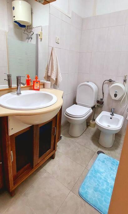 Pet friendly T1 sossegado c/ pátio espaçoso