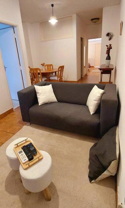 Pet friendly T1 sossegado c/ pátio espaçoso