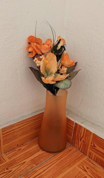 Pet friendly T1 sossegado c/ pátio espaçoso