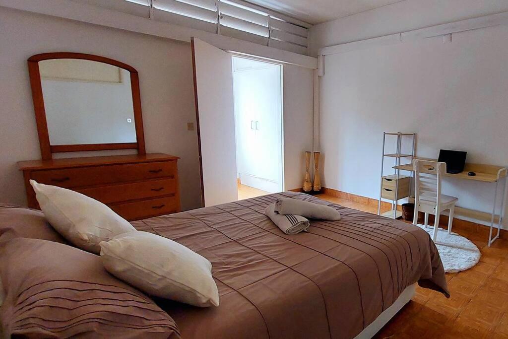 Pet friendly T1 sossegado c/ pátio espaçoso