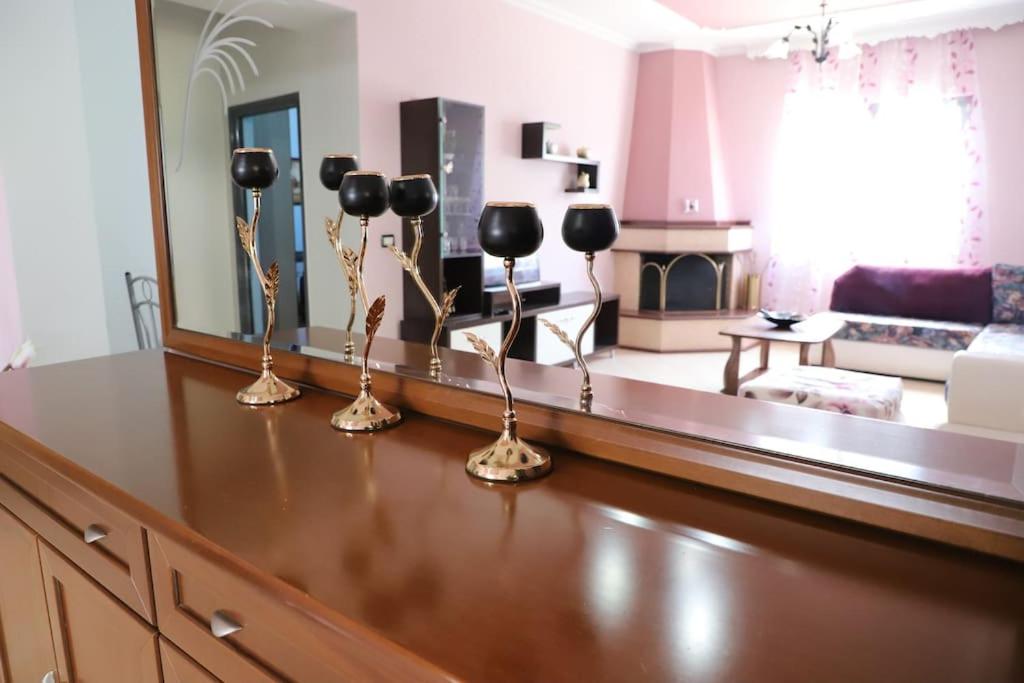Toni Apartment Berat
