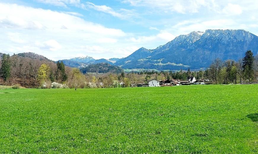 Ferienwohnungen „Zum Bauern“