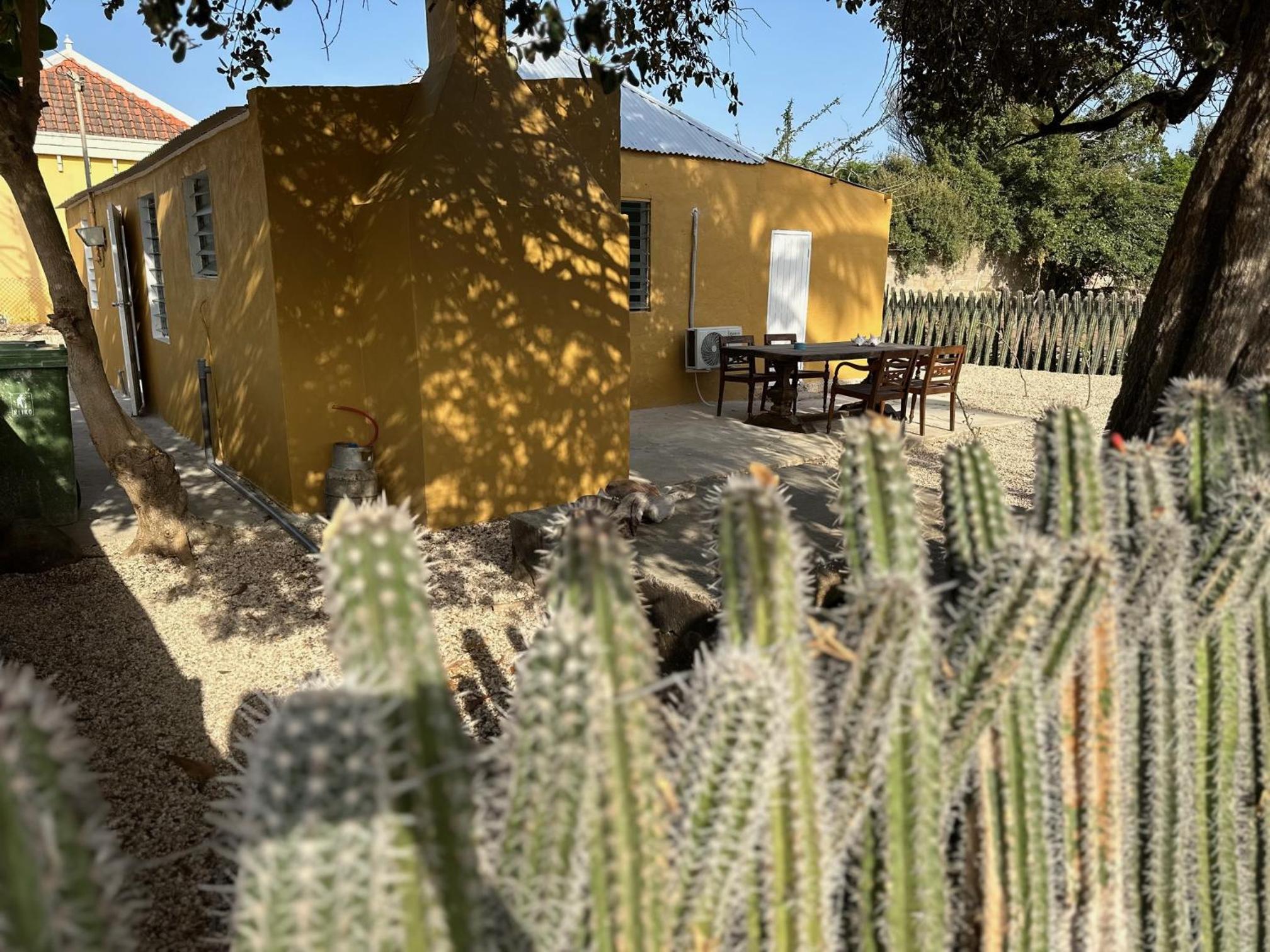 Casita de Rincon 1